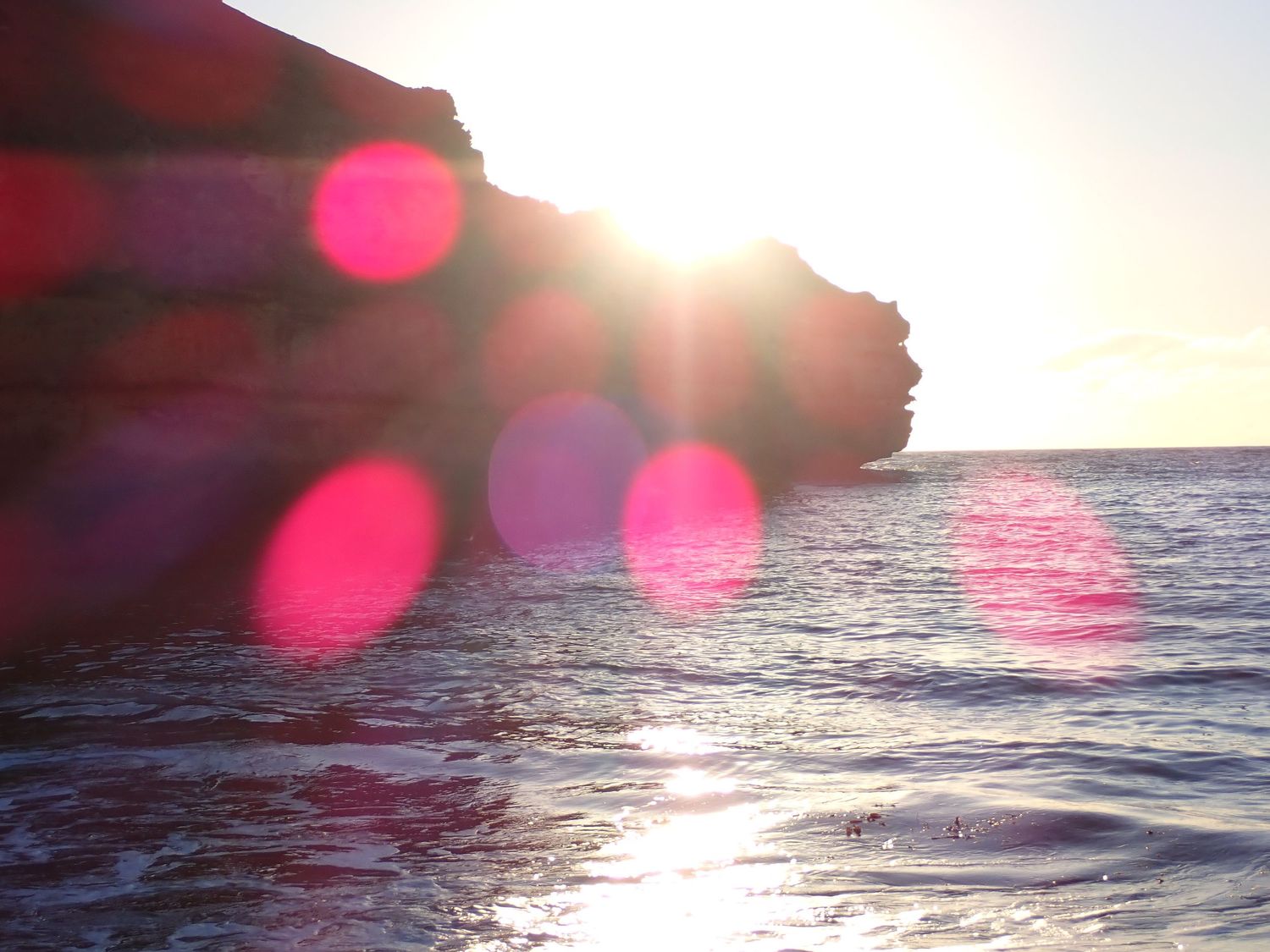 Sunlit ocean waves crash against rocky cliffs during a bright sunset creating lens flare effects. Great Ocean Road.