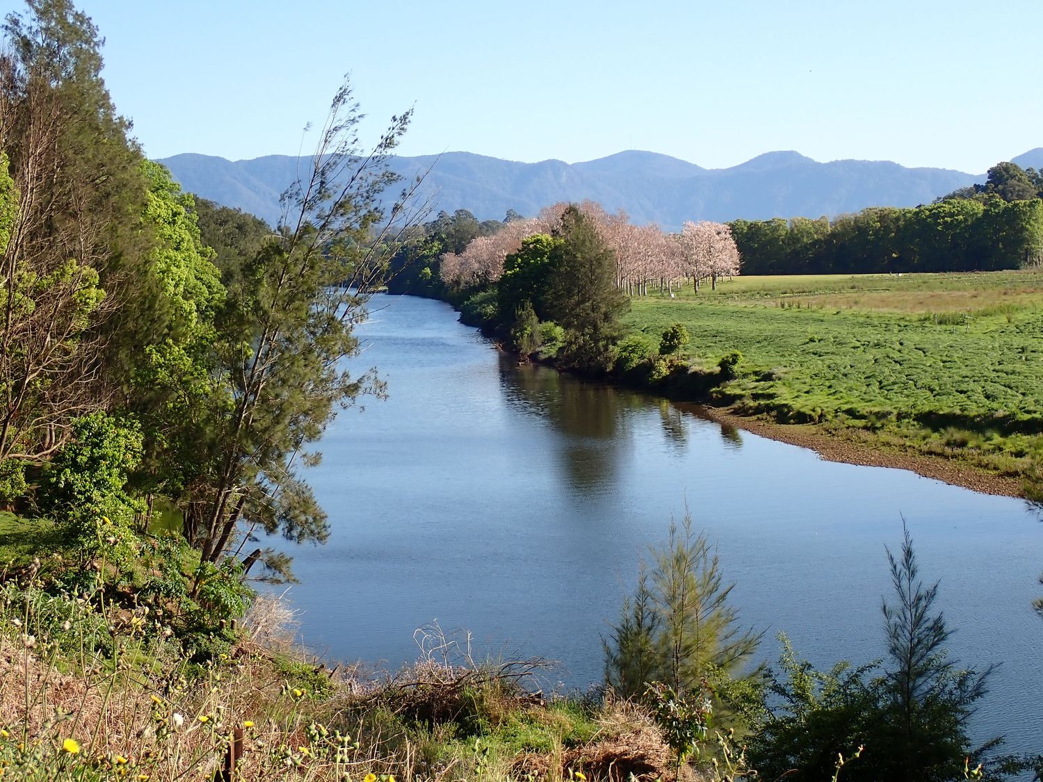 Scenic lake panorama surrounded by mountains and lush vegetation in bright daylight. Bellinger River, Bellingen, NSW.