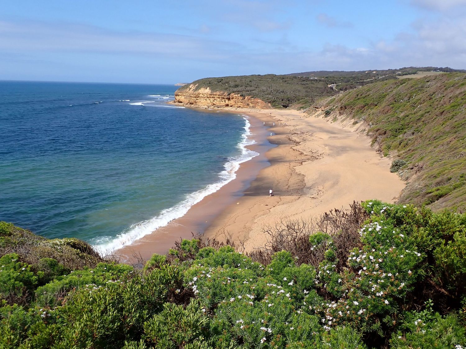 Panoramic view of a pristine sandy beach with rolling waves and coastal cliffs in the distance. Bells Beach, Great Ocean Road.