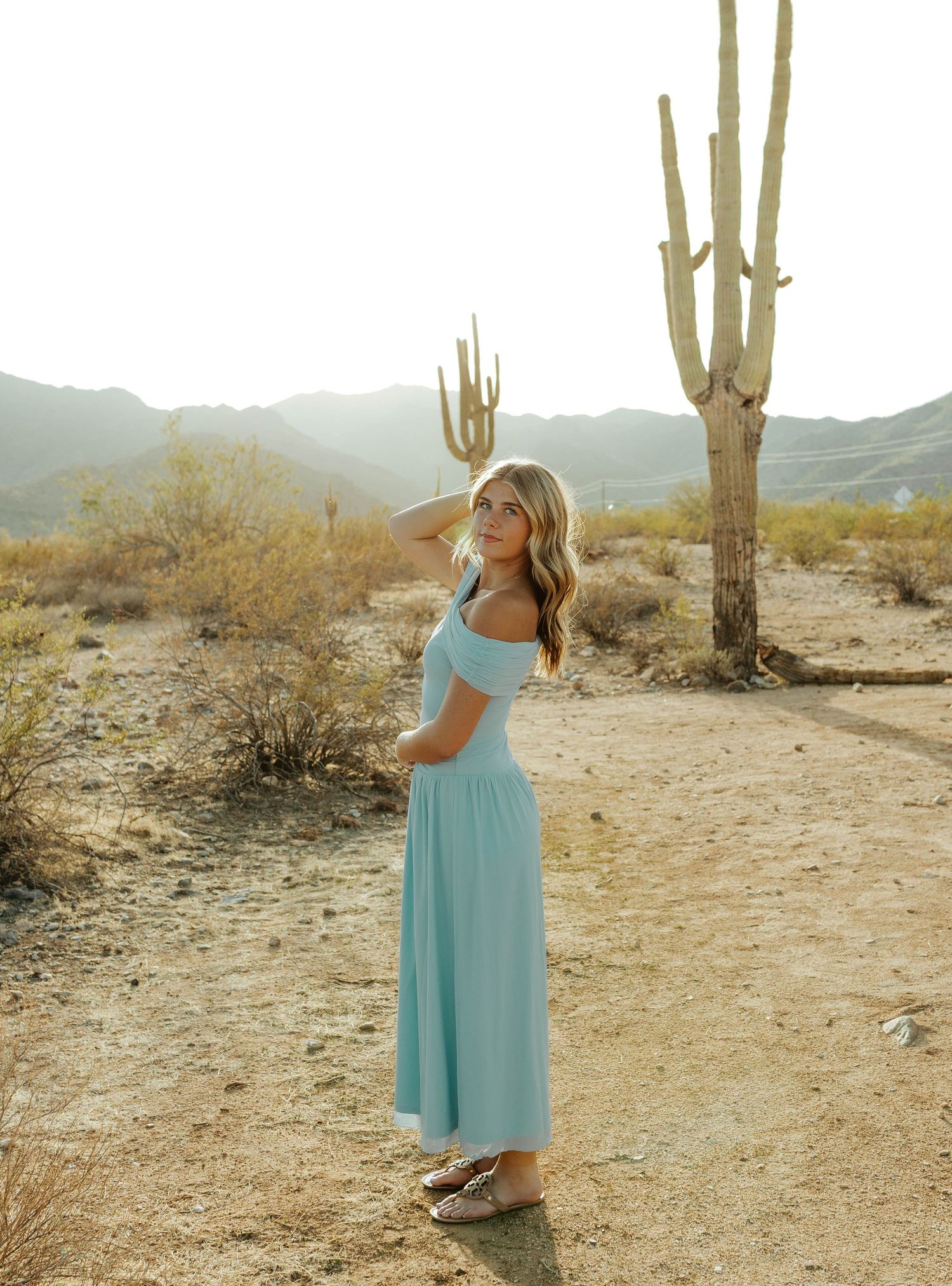 A light blue dress photographed in a desert setting with mountains and saguaro cacti.