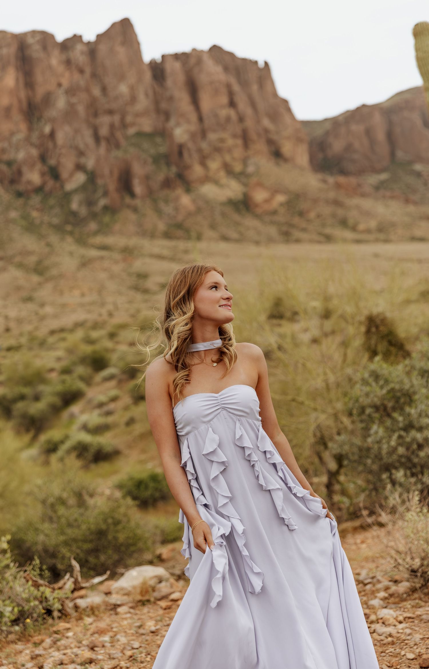 A person in a flowing lavender gown poses gracefully against a backdrop of rugged desert mountains and terrain.