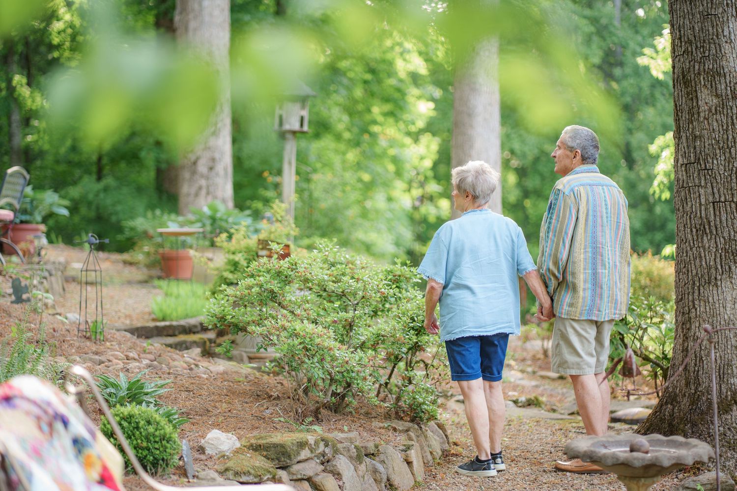 Senior couple holding hands while walking along a scenic garden path surrounded by green trees.