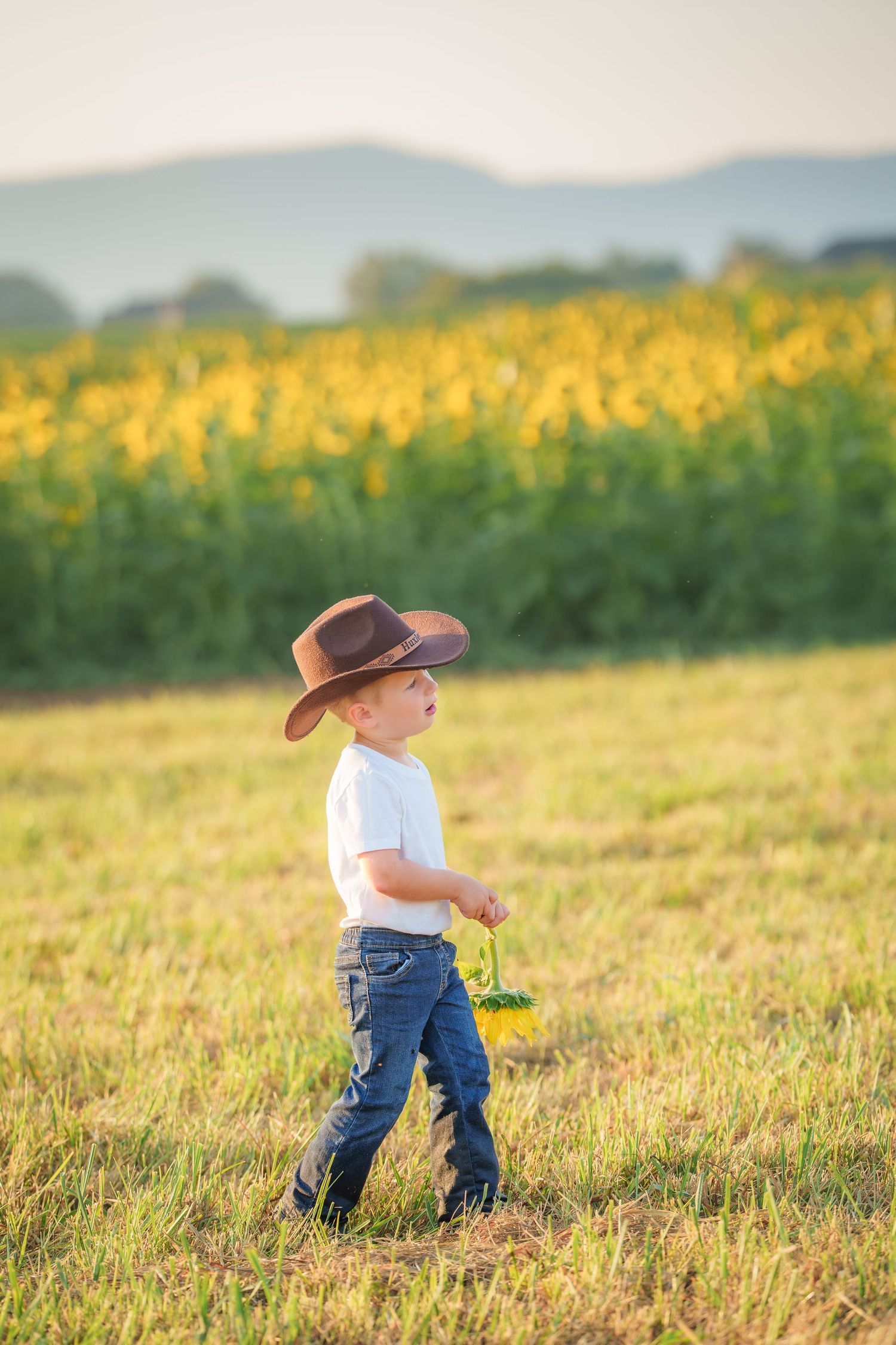 Young boy in cowboy hat and jeans walks through a sunflower field on a sunny day.