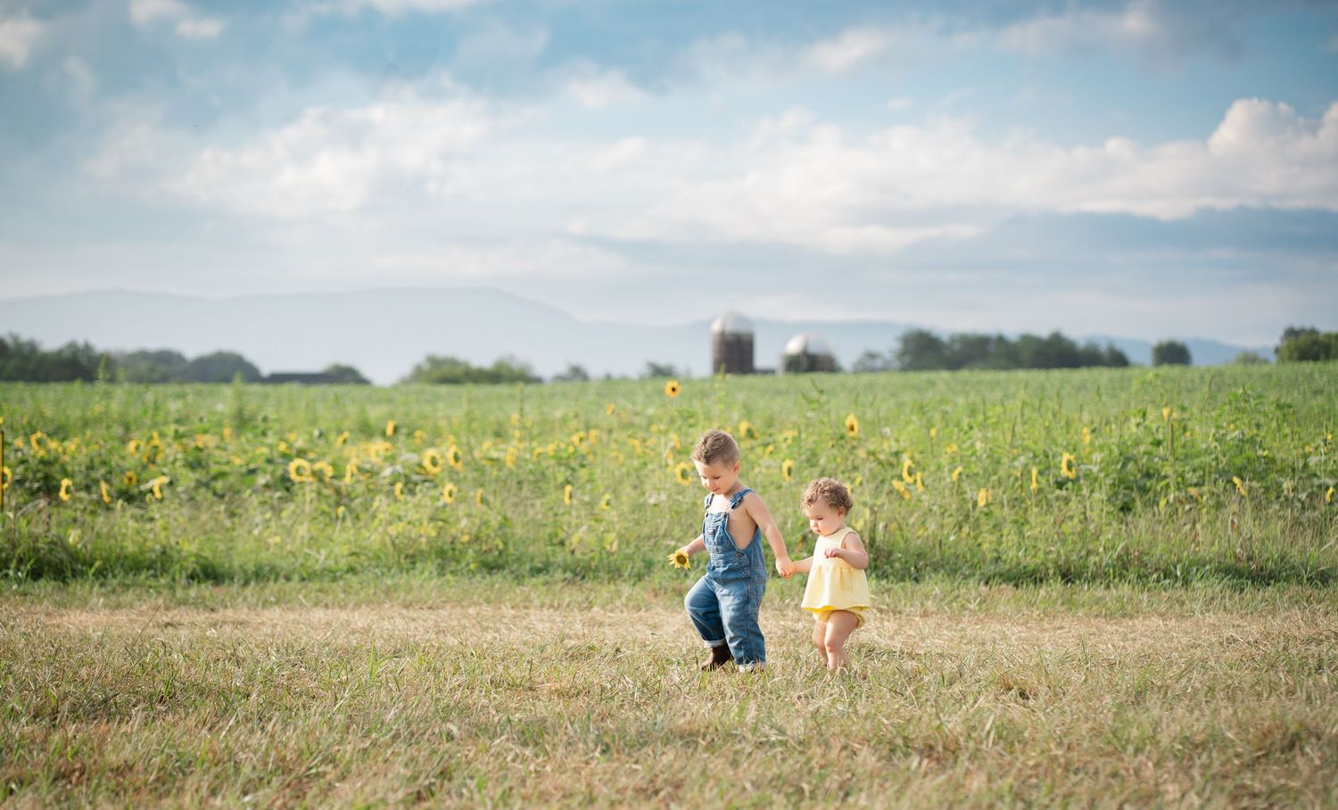 Two young children walking together in sunflower field under cloudy summer sky.