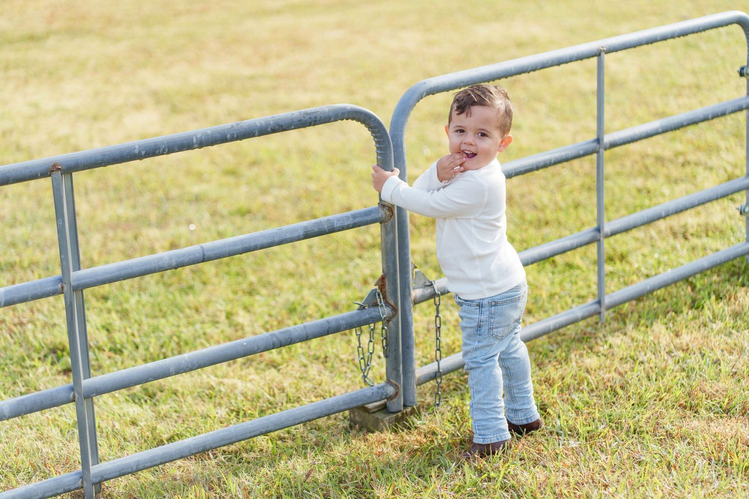 Toddler in white shirt and jeans standing at a metal farm gate on green grass.