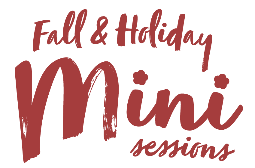 Fall and Holiday Mini Sessions logo in dark red script and brush lettering with floral accents.