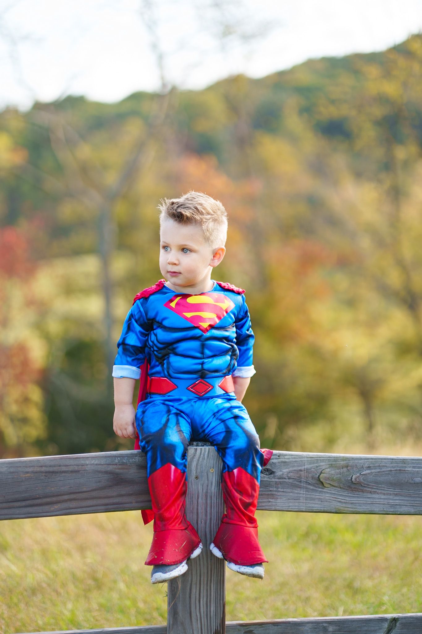 Young boy in a Superman costume sitting on a wooden fence with fall foliage.