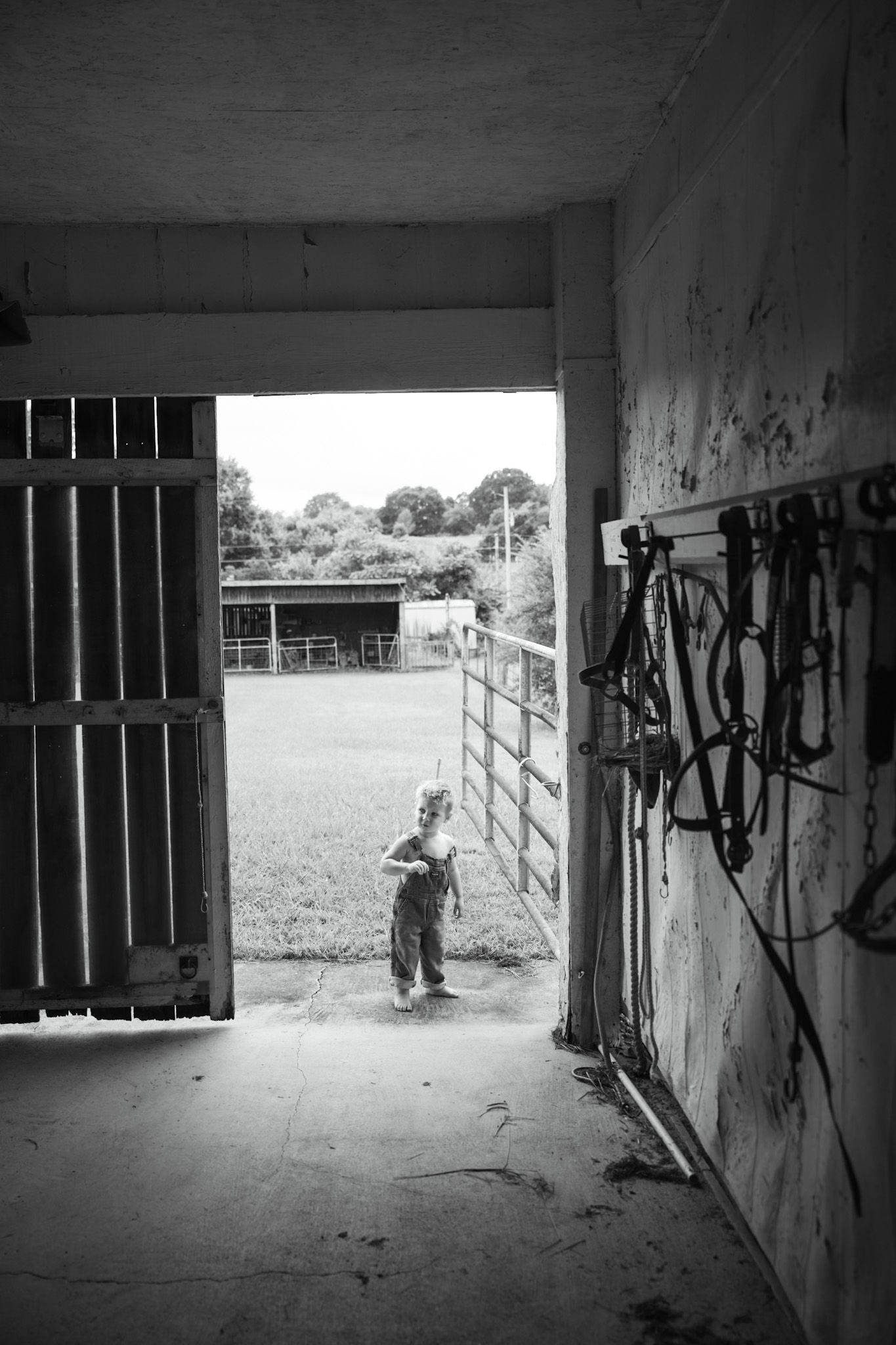 Young child in overalls stands in barn doorway looking out to green pasture.