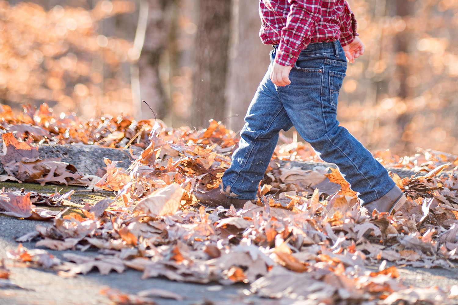 Young child walking through a colorful carpet of fallen autumn leaves wearing jeans and a red plaid shirt.
