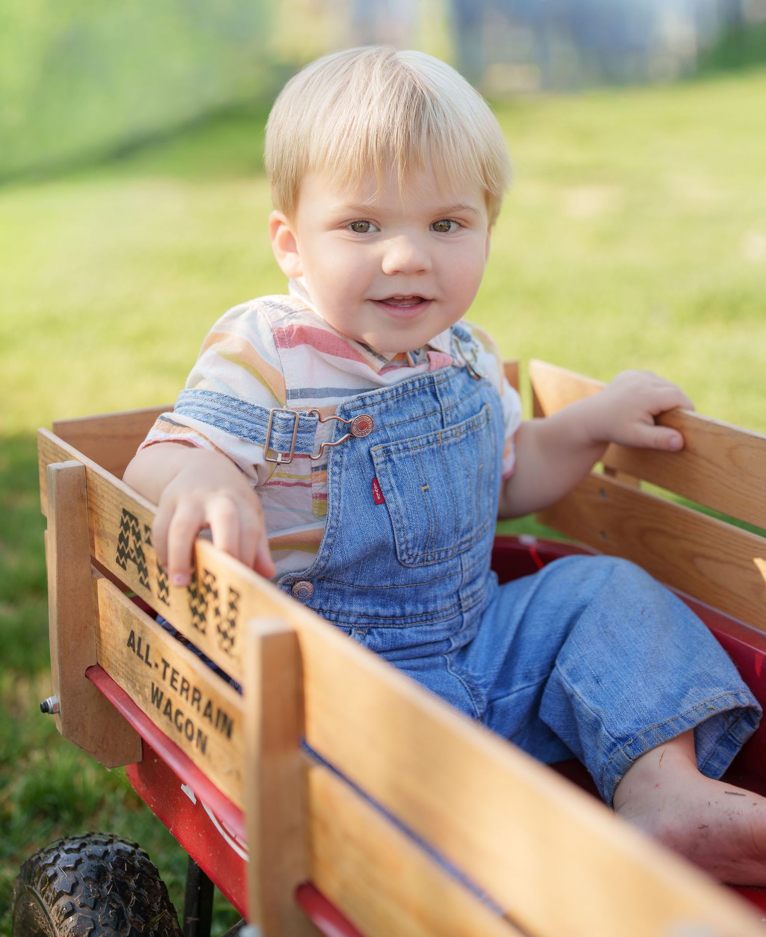 Cute blonde toddler boy sitting in red all-terrain wagon wearing denim overalls outside.