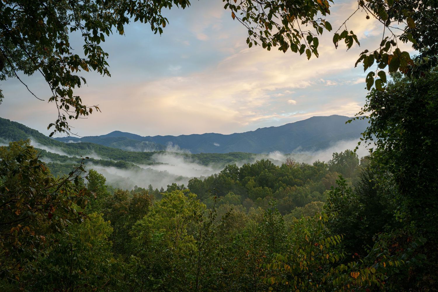 Misty Smoky Mountain valley with lush green trees and rolling hills under a dramatic cloudy sunrise sky in Gatlinburg, TN.