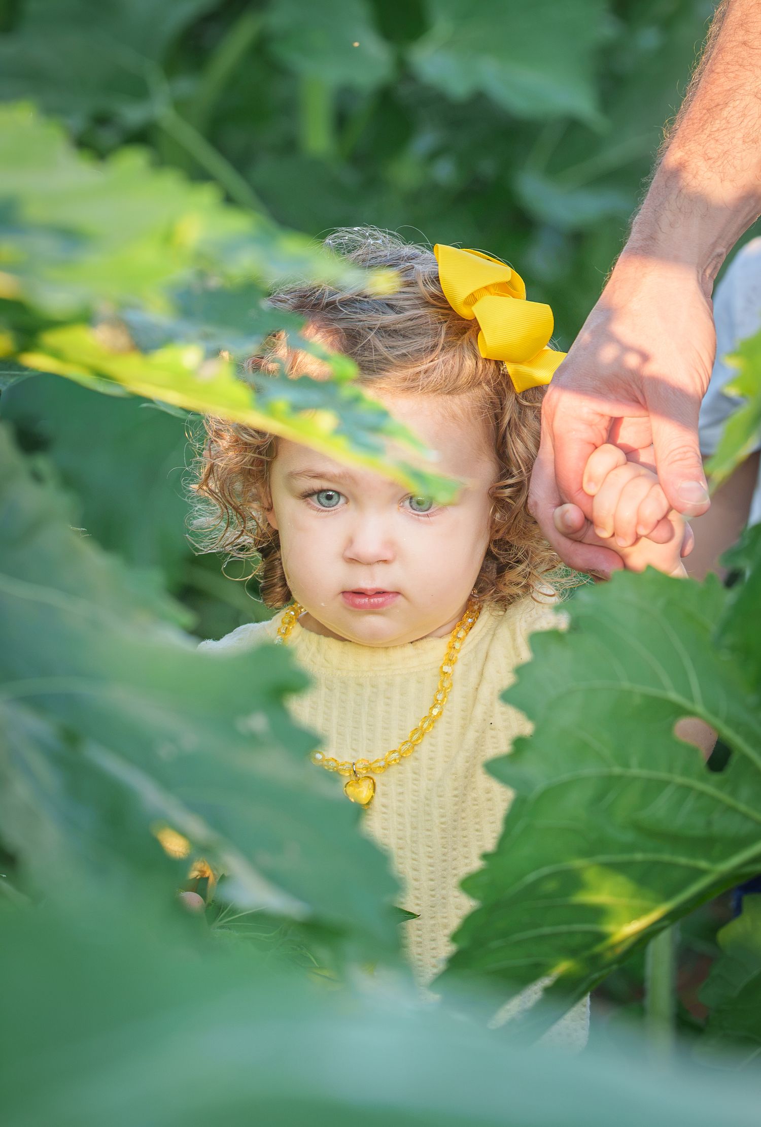 A toddler girl with curly hair and yellow bow holds an adult hand among lush green garden leaves.