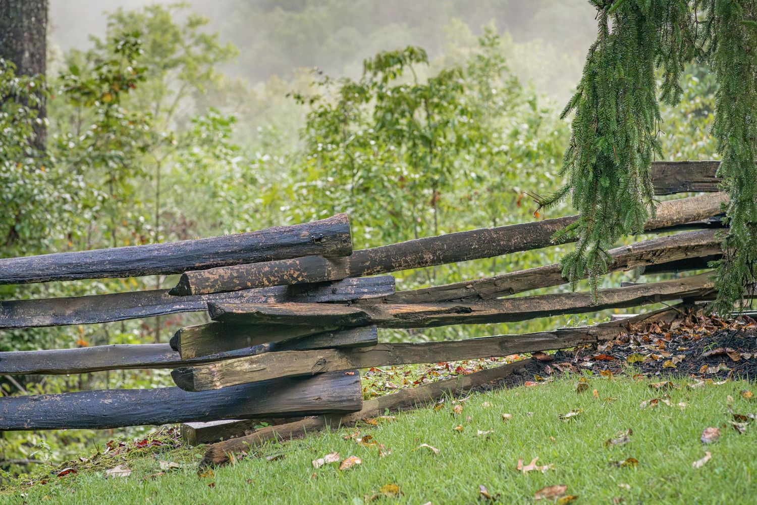 Rustic split-rail wooden fence surrounded by lush green trees and grass in a misty countryside setting.