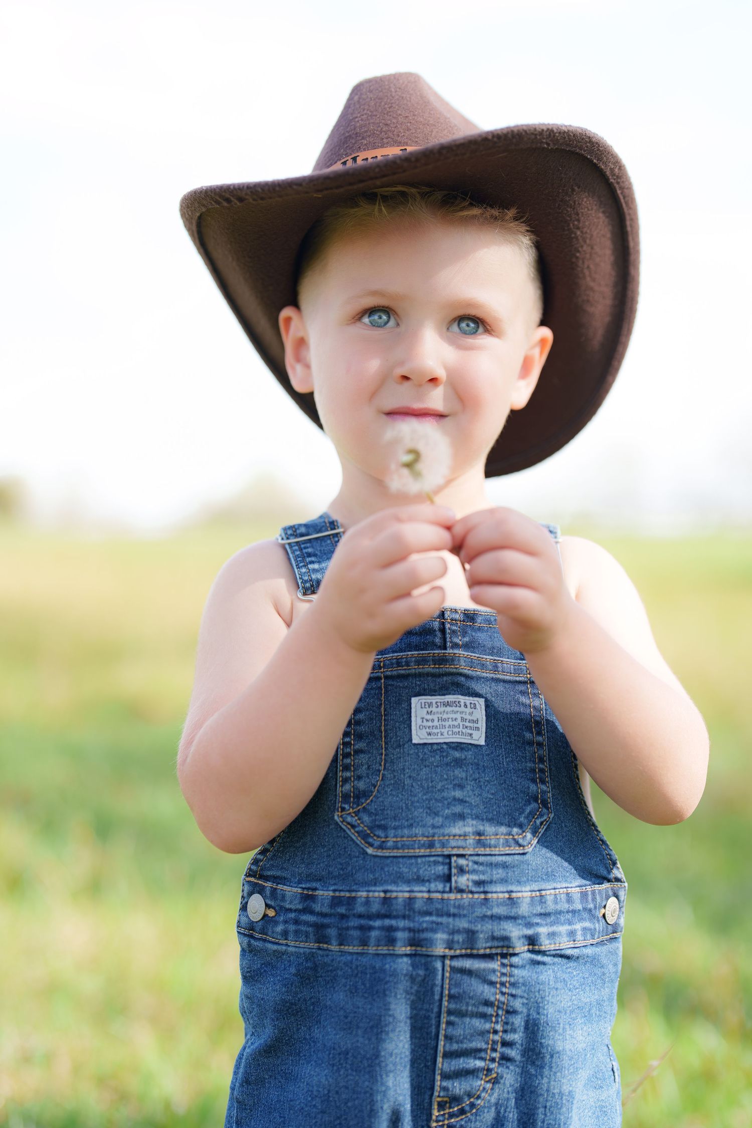Cute toddler boy in denim overalls and brown cowboy hat holding dandelion in sunny field.