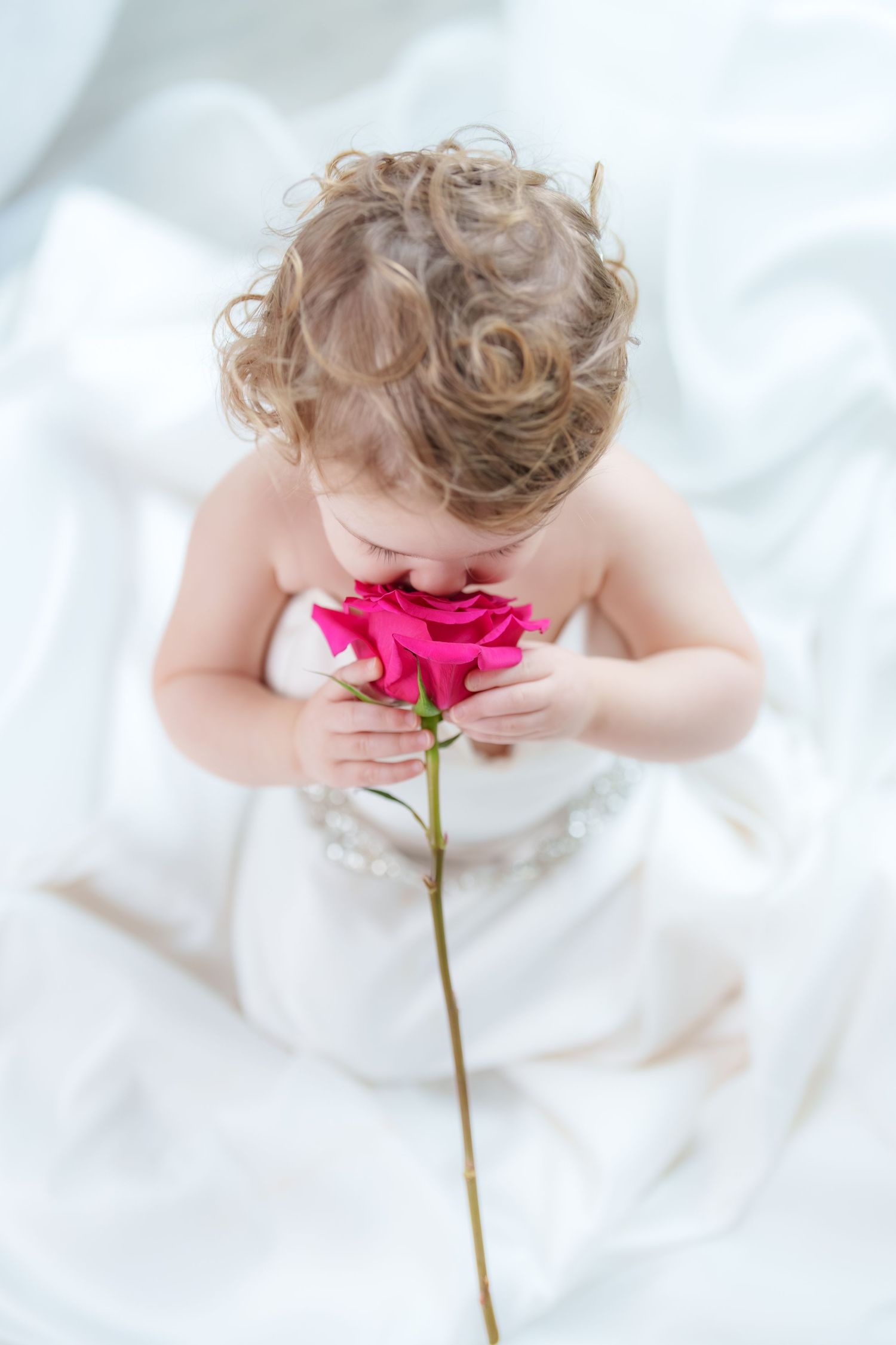 Curly-haired toddler in white dress smelling a pink rose.