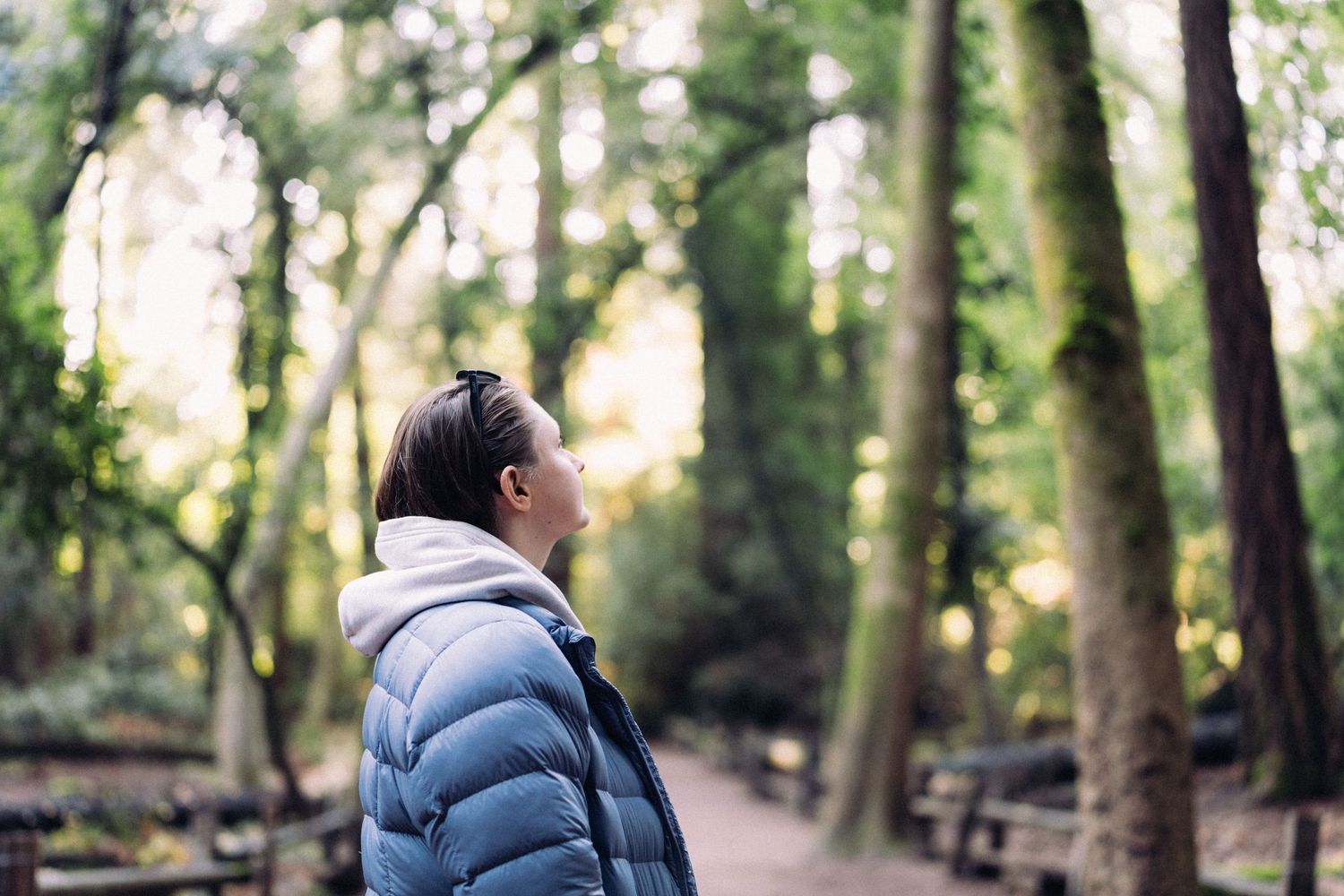 A peaceful wooded path with tall trees creating natural shade.