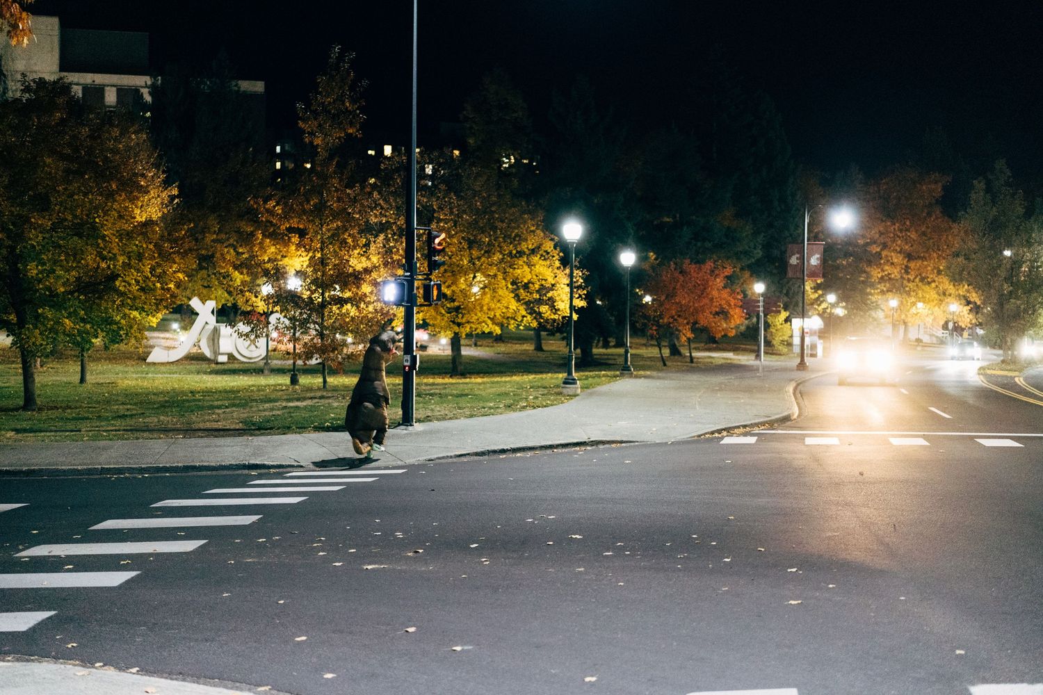 Nighttime street view with car headlights and street lamps illuminating the road.