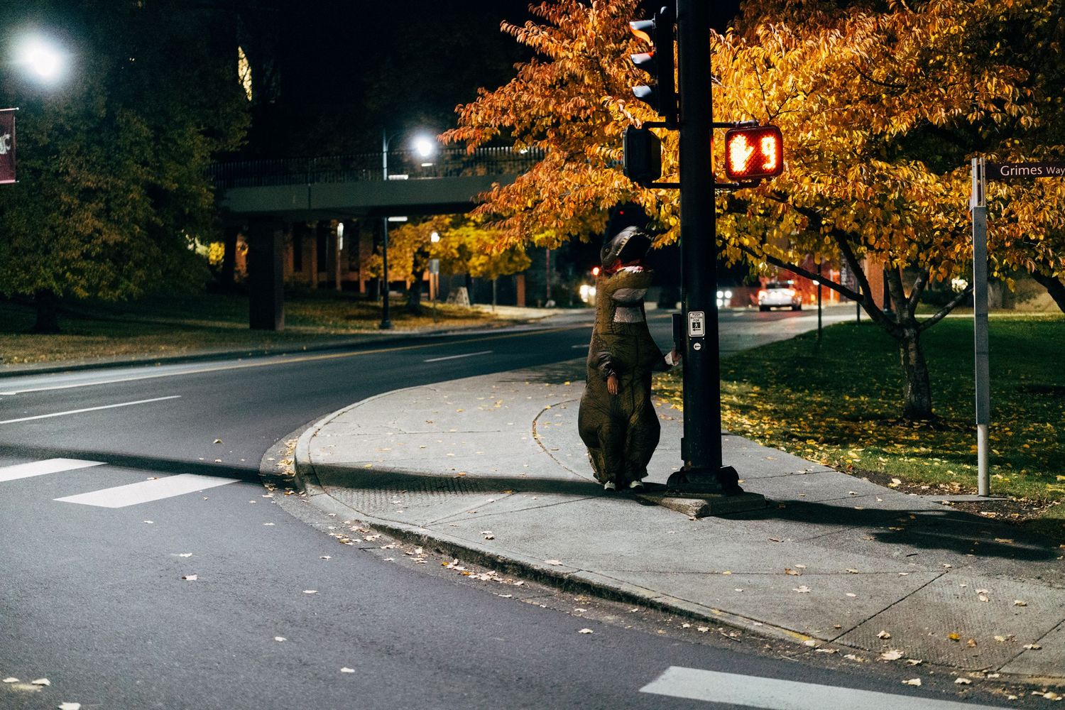 Nighttime street scene with illuminated autumn trees and lamp posts.