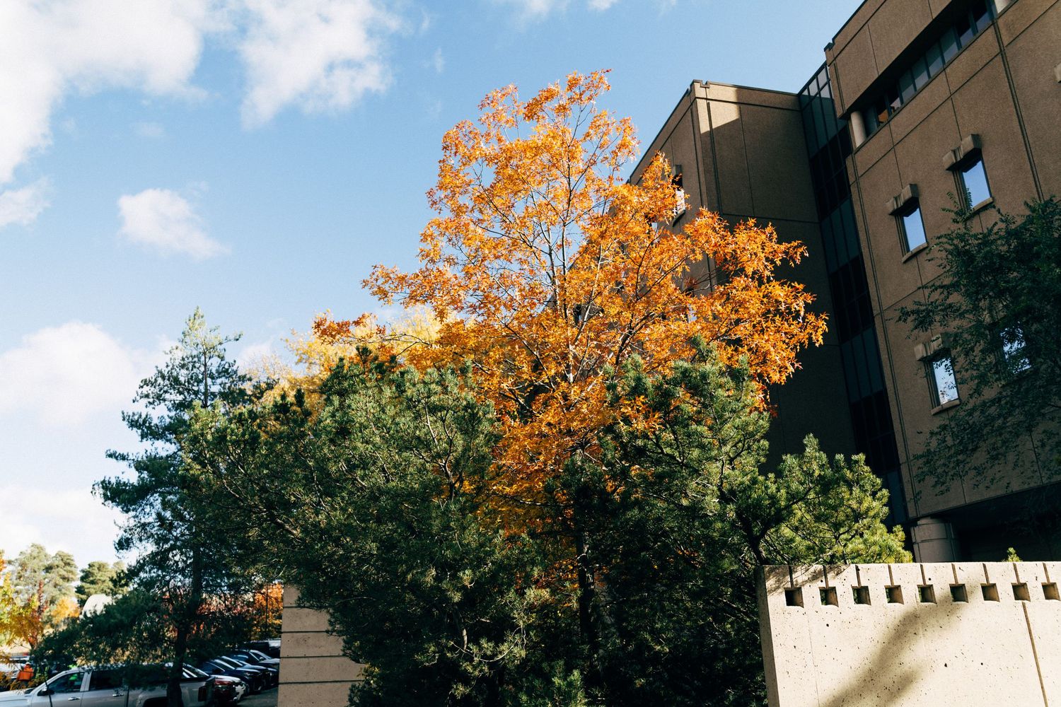 Architectural view of modern buildings framed by trees with autumn colors.
