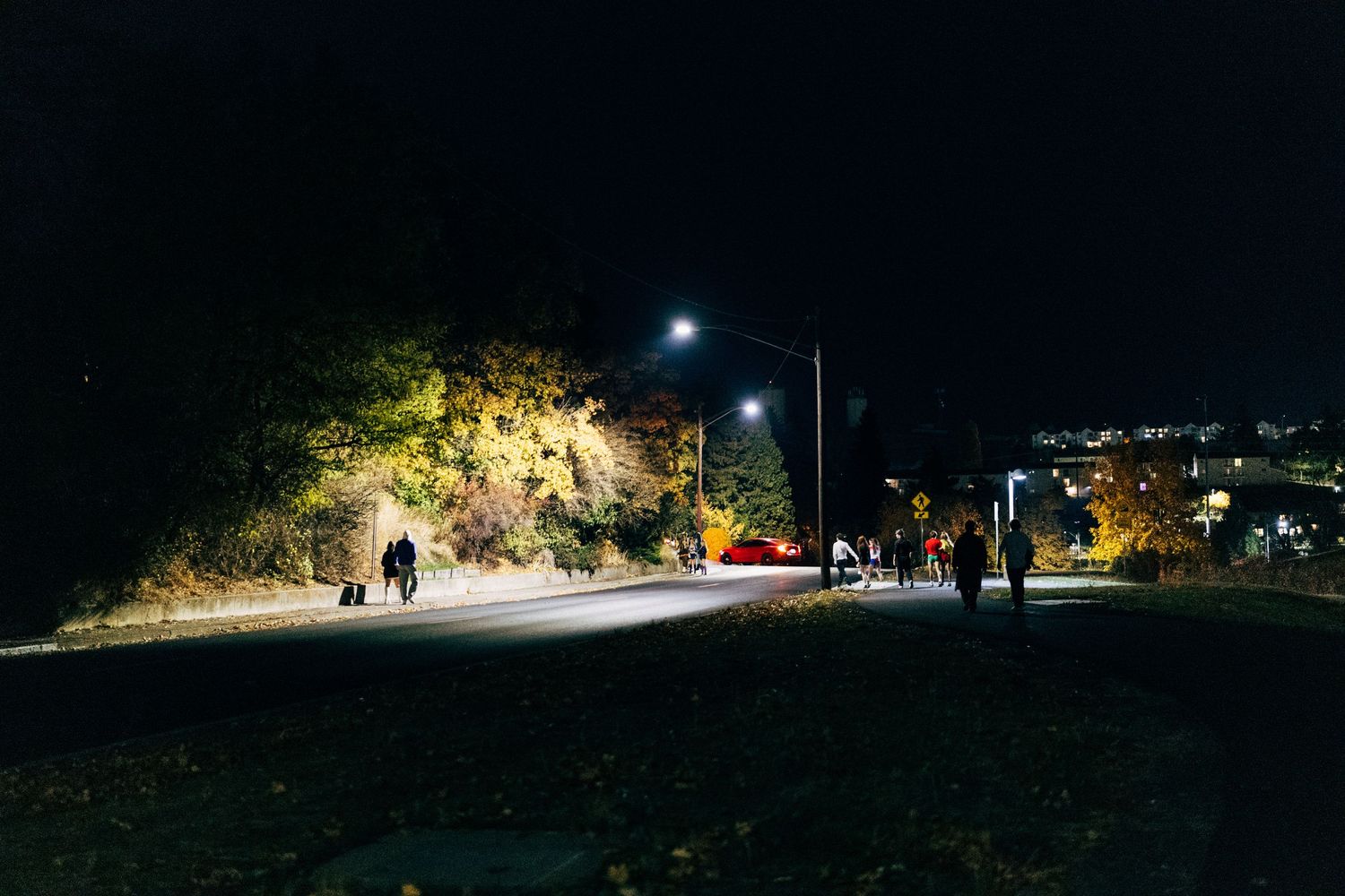 Dark street scene with scattered lights and autumn foliage at night.