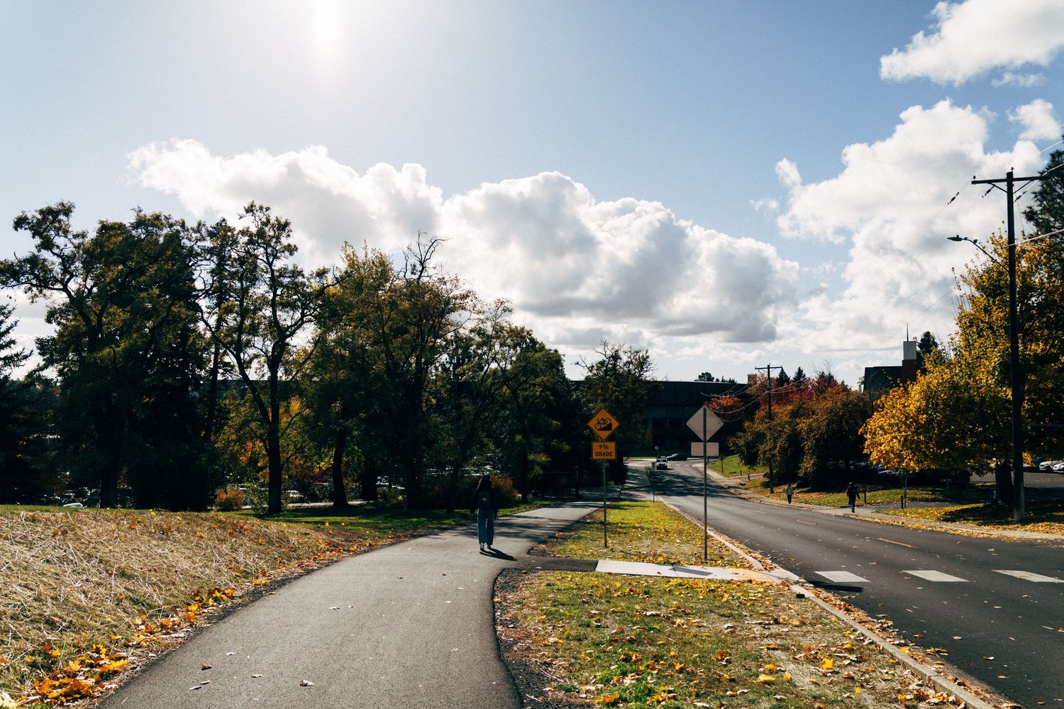 Panoramic view of a hillside road with autumn trees and buildings in the background.