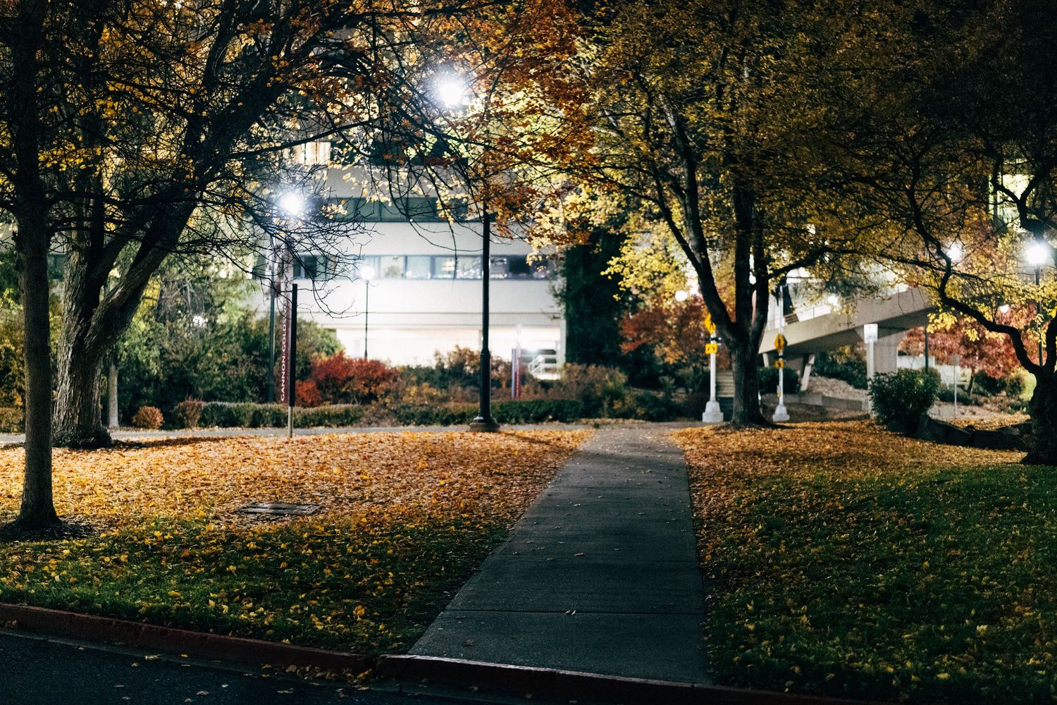 Fall foliage creates a scenic walkway with scattered leaves on the ground.