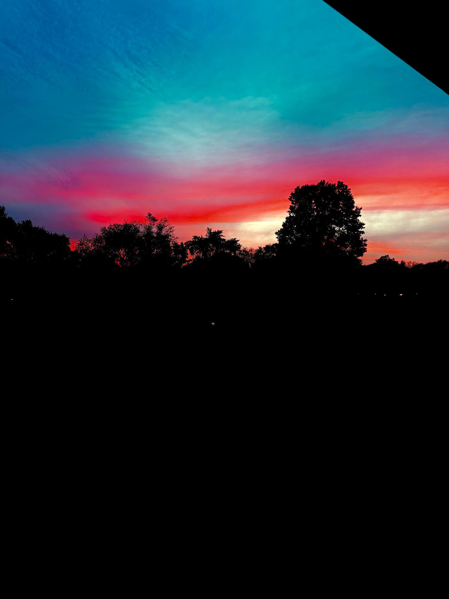 Dramatic sunset sky with vibrant turquoise and pink colors silhouetting dark trees against the horizon.