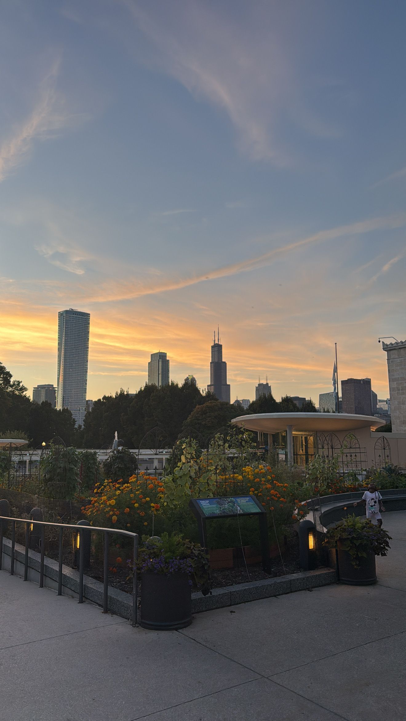 Panoramic sunset view of Minneapolis skyline from a rooftop garden with planters and railings at dusk.