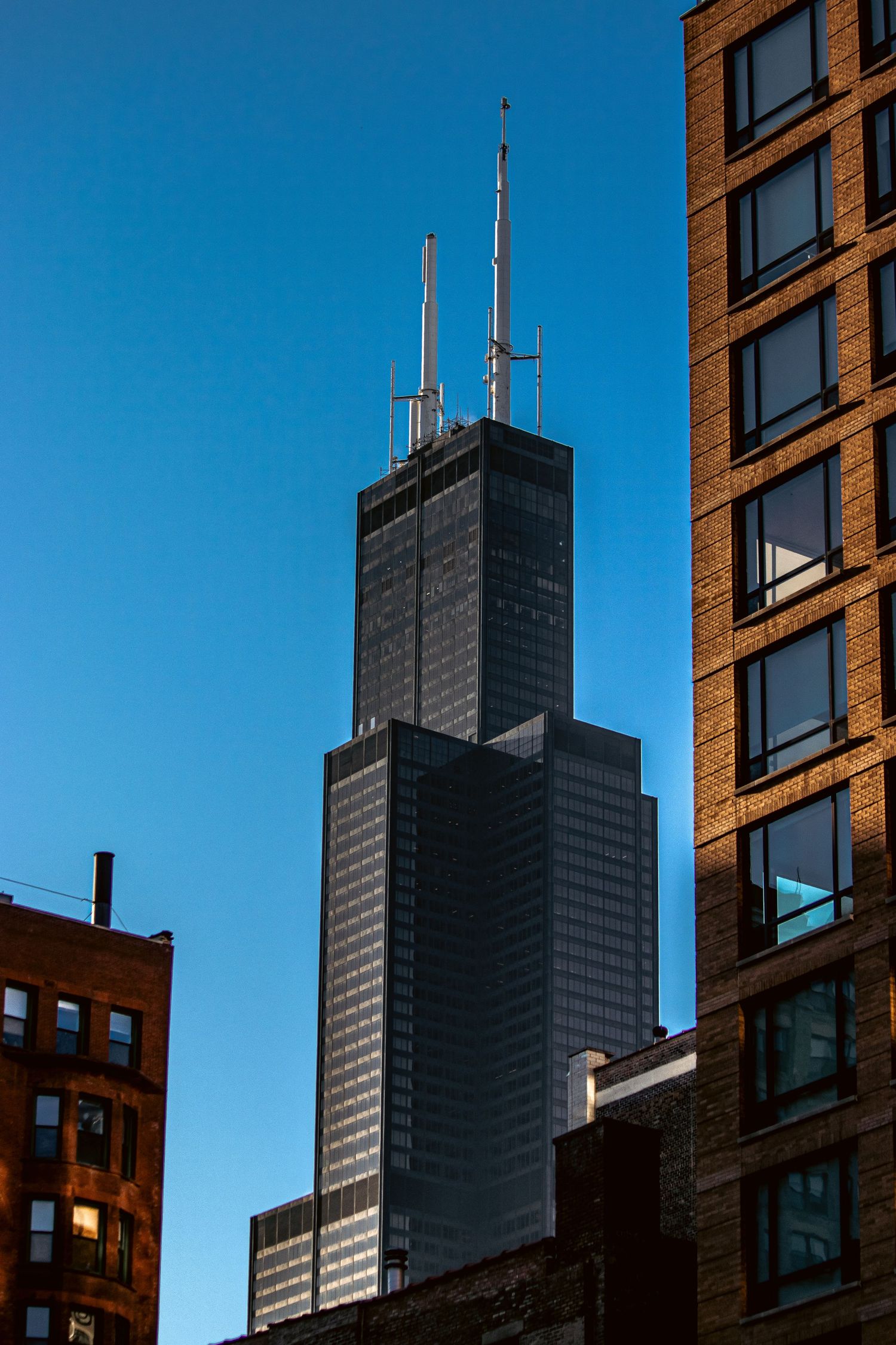 Willis Tower dominates Chicago skyline against clear blue sky.