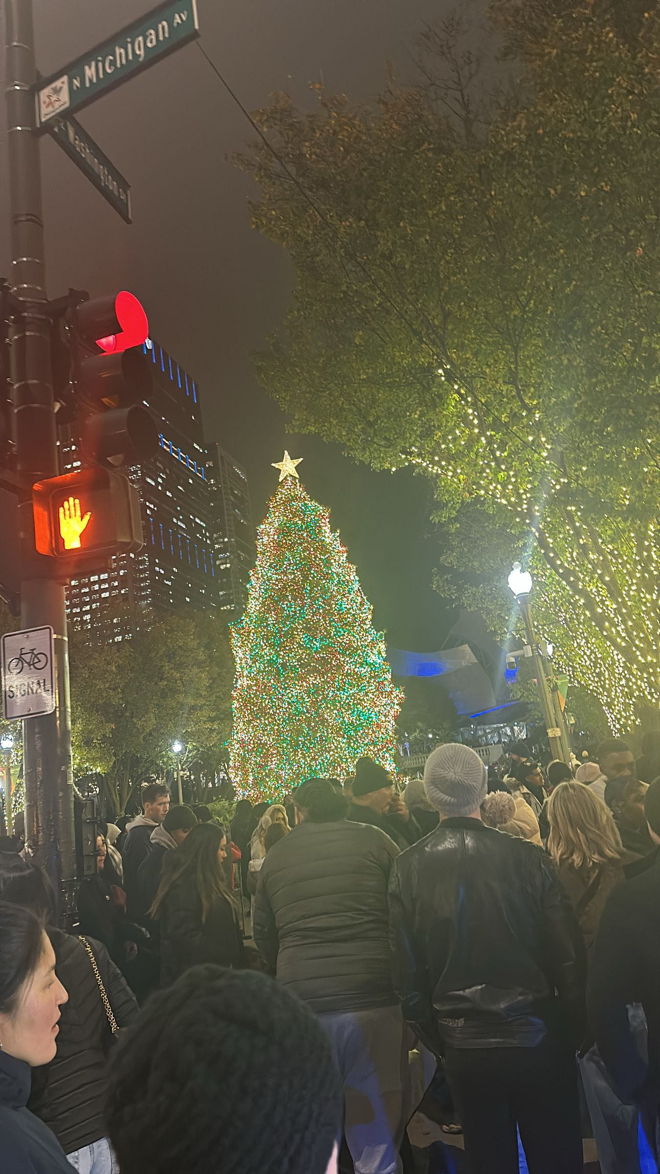 A large crowd gathers at night around illuminated Christmas trees and holiday decorations on a city street.