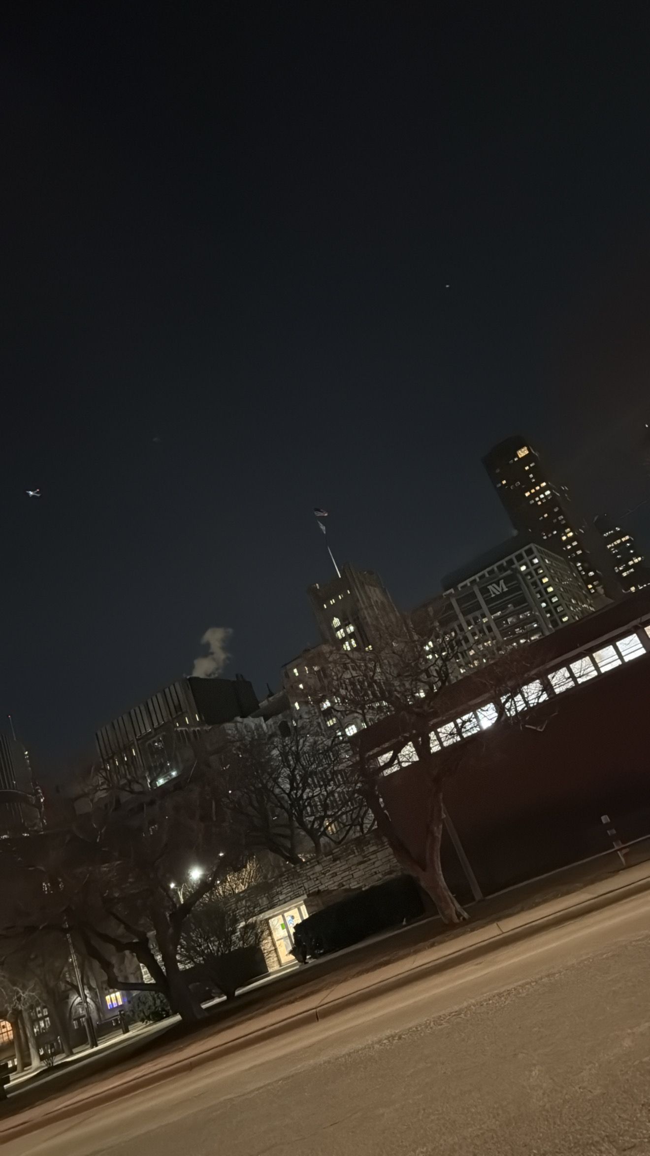 City skyline illuminated at night with dark trees silhouetted in the foreground and empty urban plaza visible.