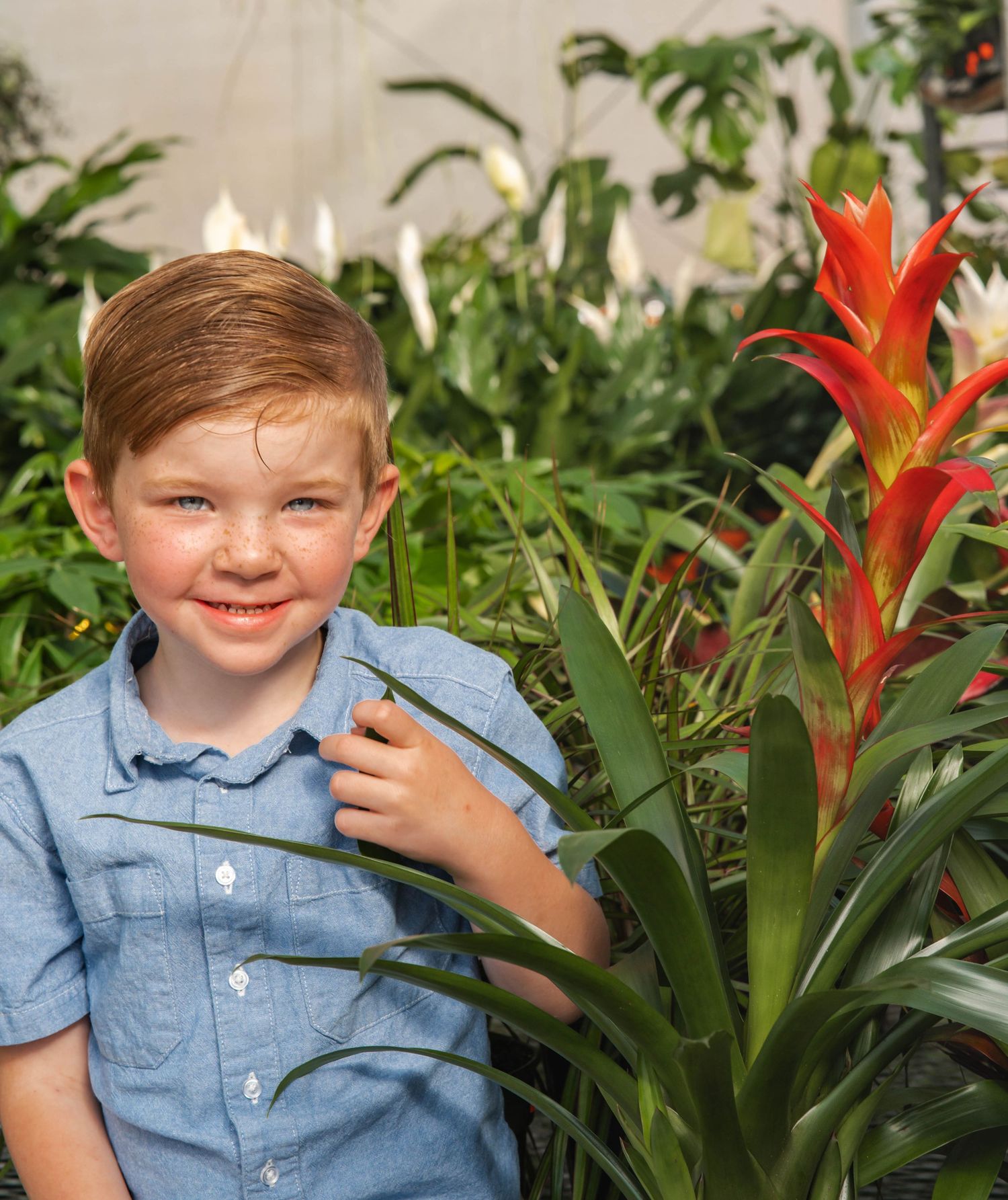 Child in blue shirt smiles while posing next to vibrant red tropical flowers in a garden.