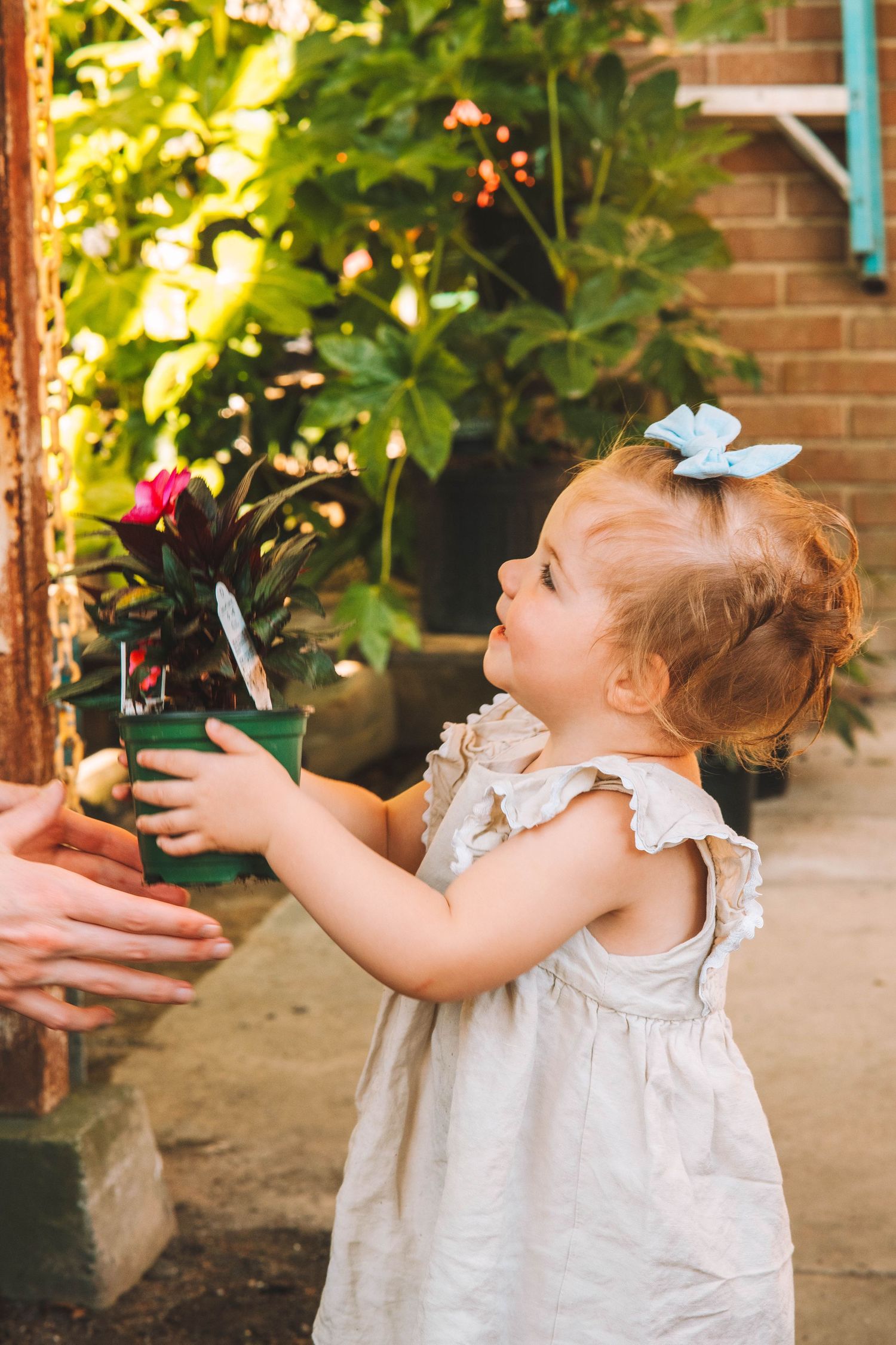 Children in white dresses reach for plants in a garden setting with brick walls and greenery.