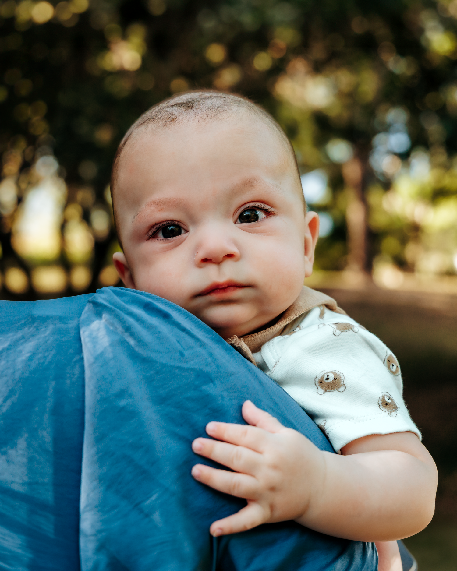 A close-up portrait of an alert newborn baby being held against a blue fabric outdoors.