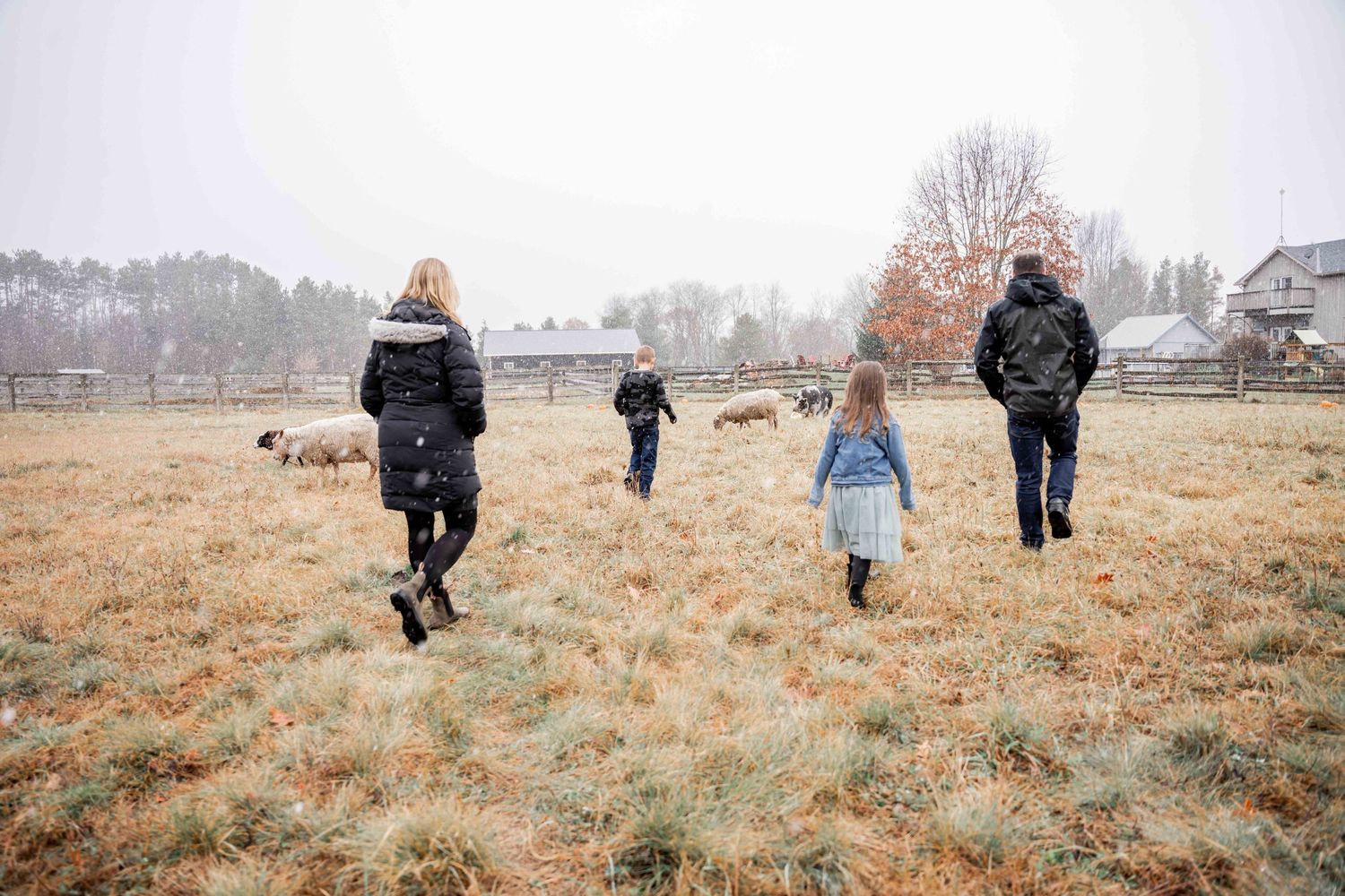 A group of people walk through a misty autumn field in a panoramic series of connected photographs.