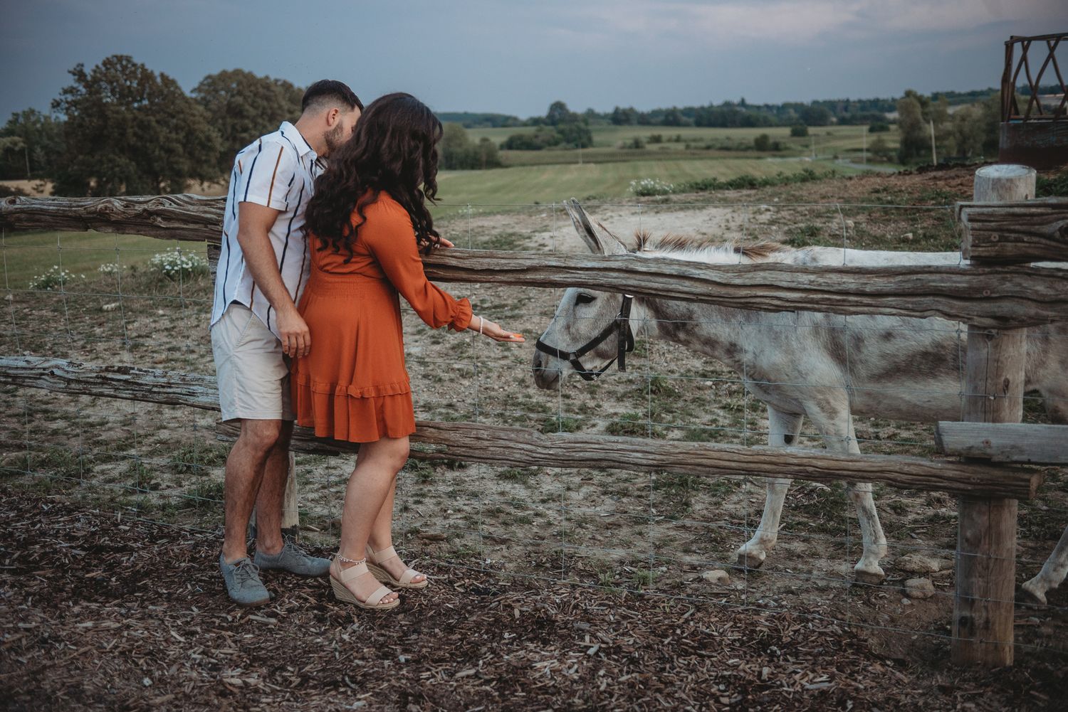 A couple and their dog spend time together in a scenic rural field during golden hour.