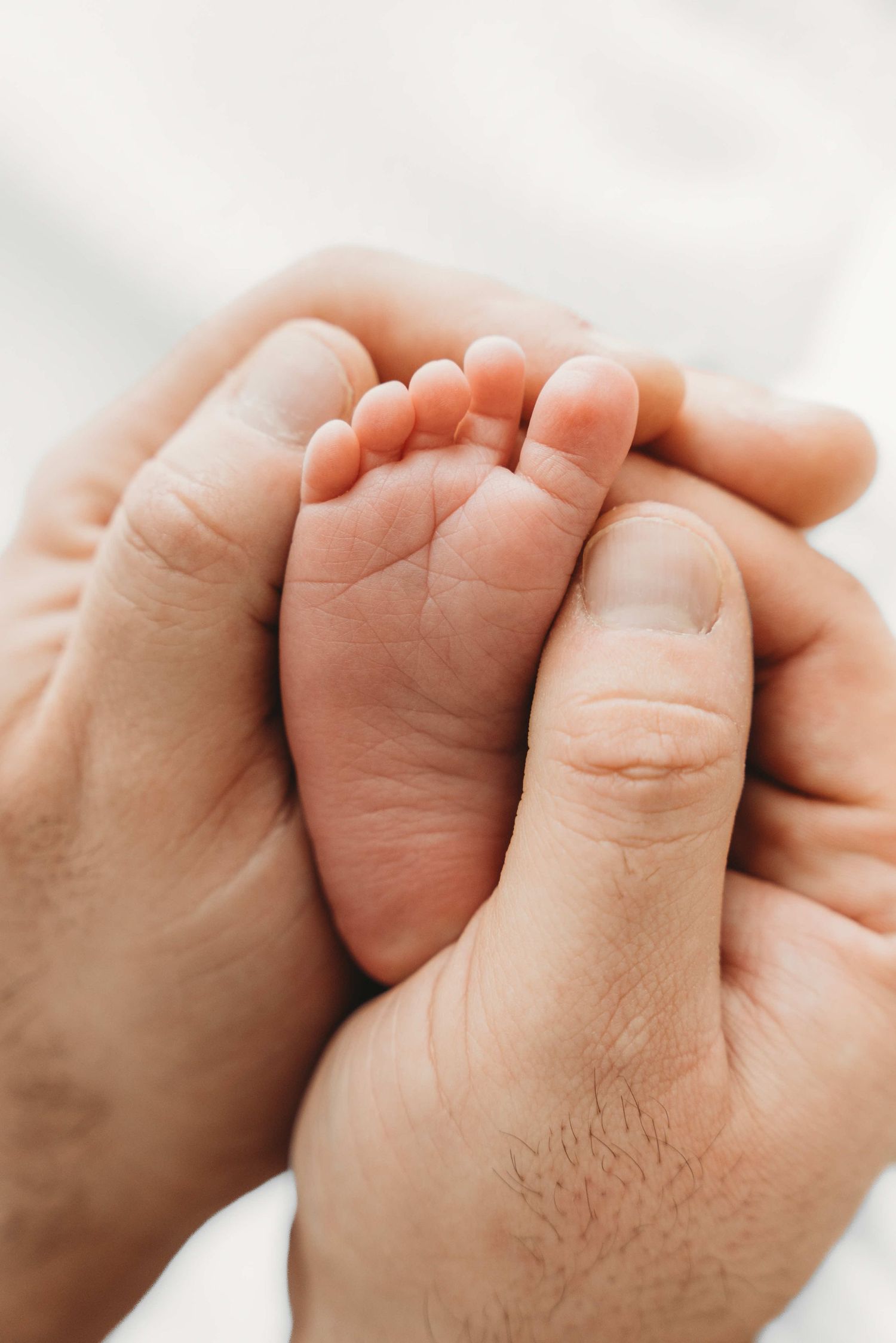 Close-up view of tiny newborn baby feet lined up in a row against white background.