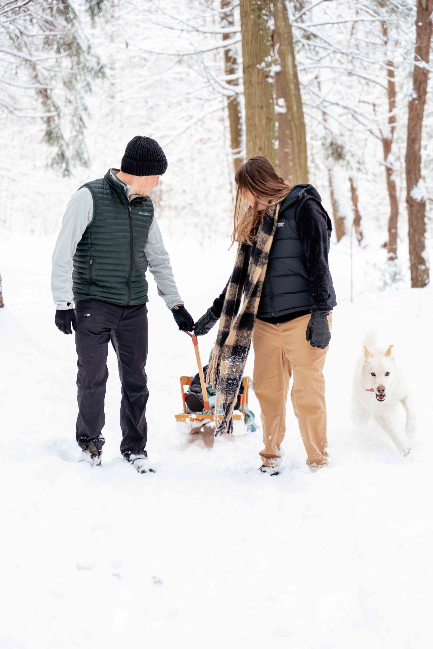 A group of people walk through a snowy forest path with a white dog trailing behind them on a winter day.