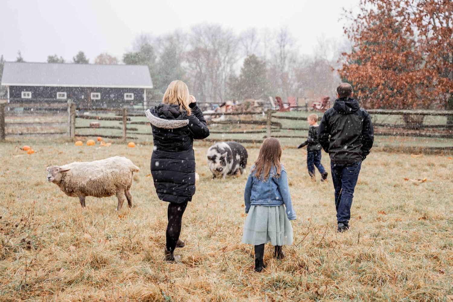 A group walks through an autumn pasture with brown grass and cattle grazing in the misty countryside.