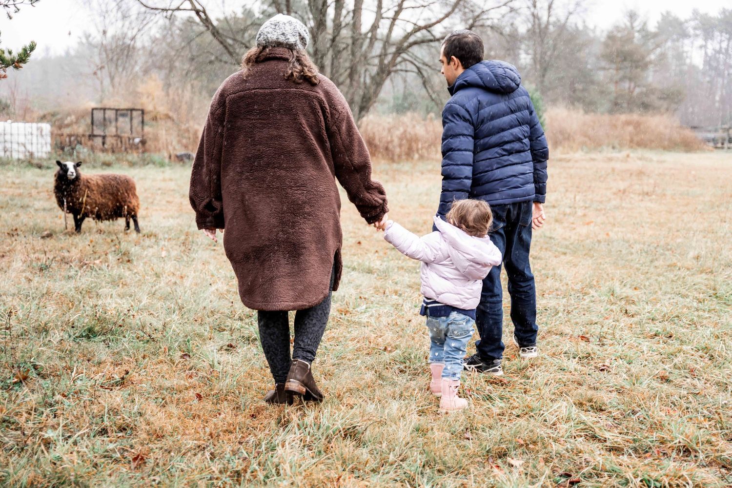 People walking with dogs through a brown winter field on an overcast day.