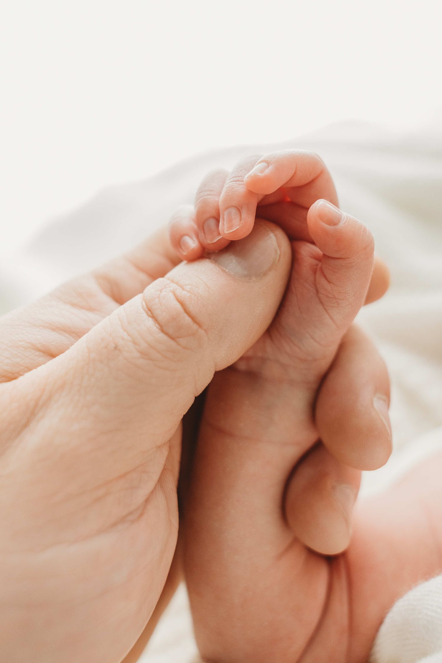 Adult hands gently holding and supporting a newborn baby's tiny feet against white background.