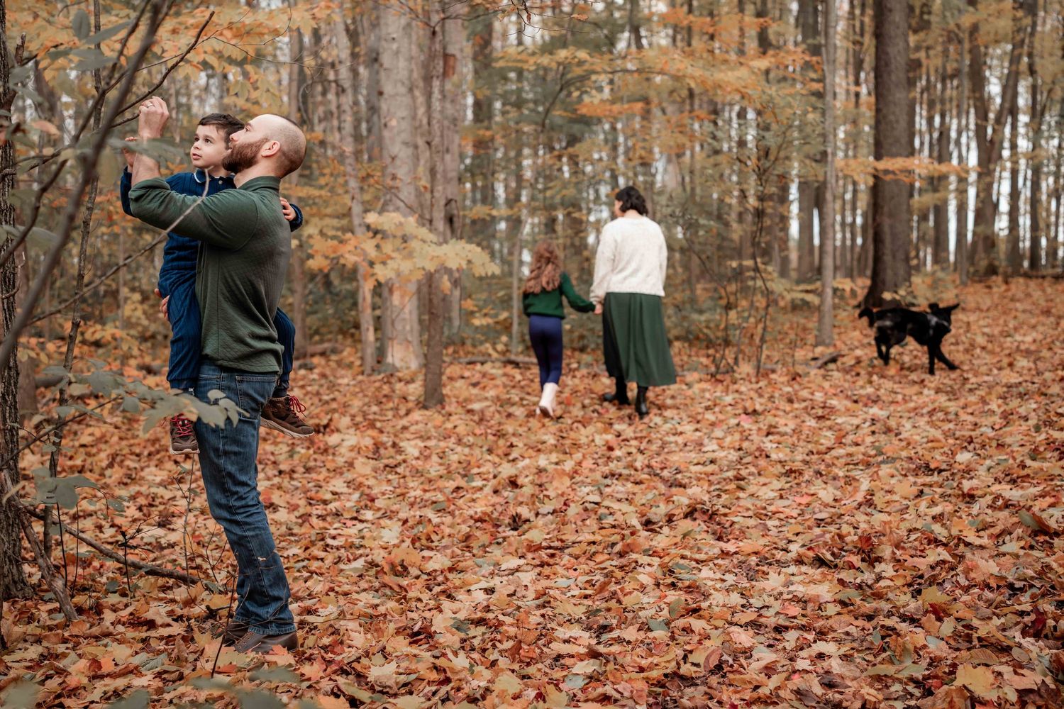 A series of fall photos showing a playful black dog running through orange autumn leaves in a forest setting.