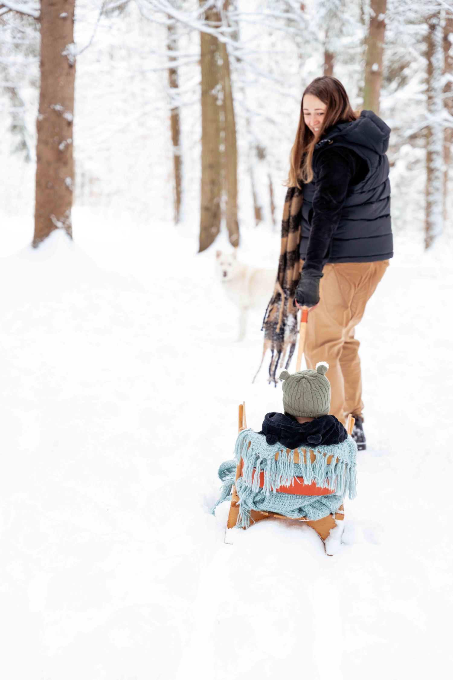 Person in winter clothing bending down to inspect a light blue vintage sled in snowy forest setting.