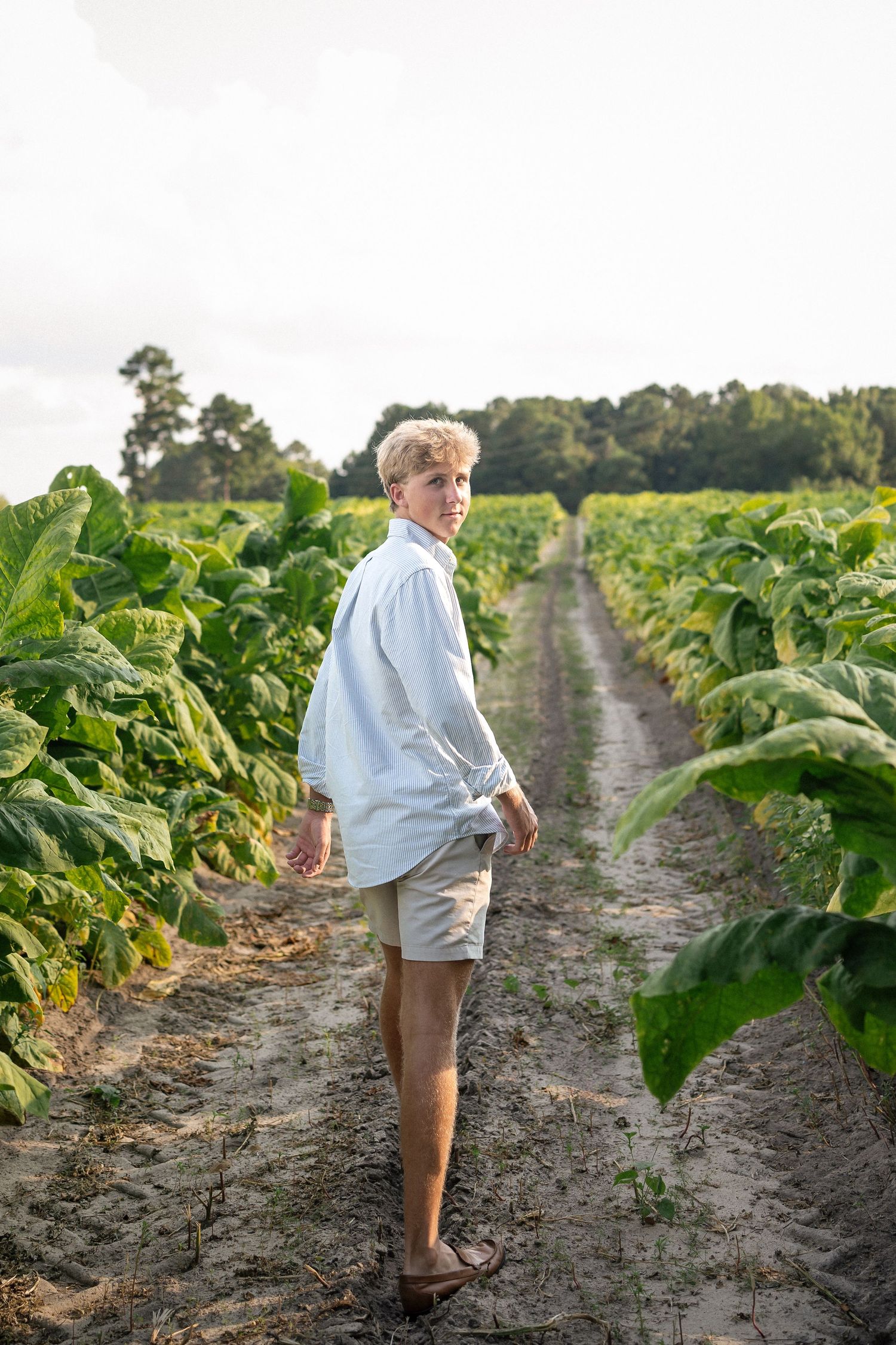 Raleigh North Carolina Senior Portrait Photographer