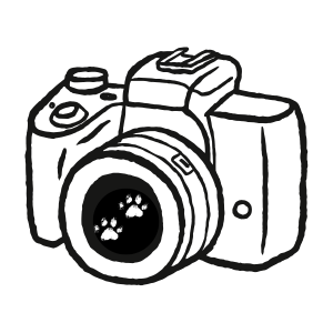 photos by carmen pet photography in Raleigh NC logo