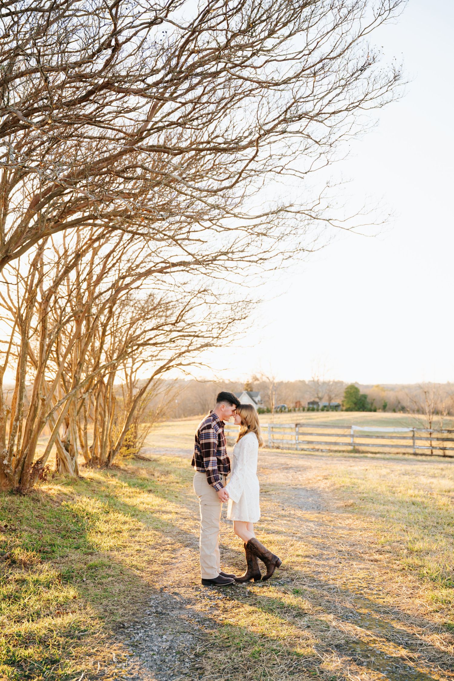 A couple shares a tender moment in a sunlit field with bare trees and wooden fences in the background during golden hour.