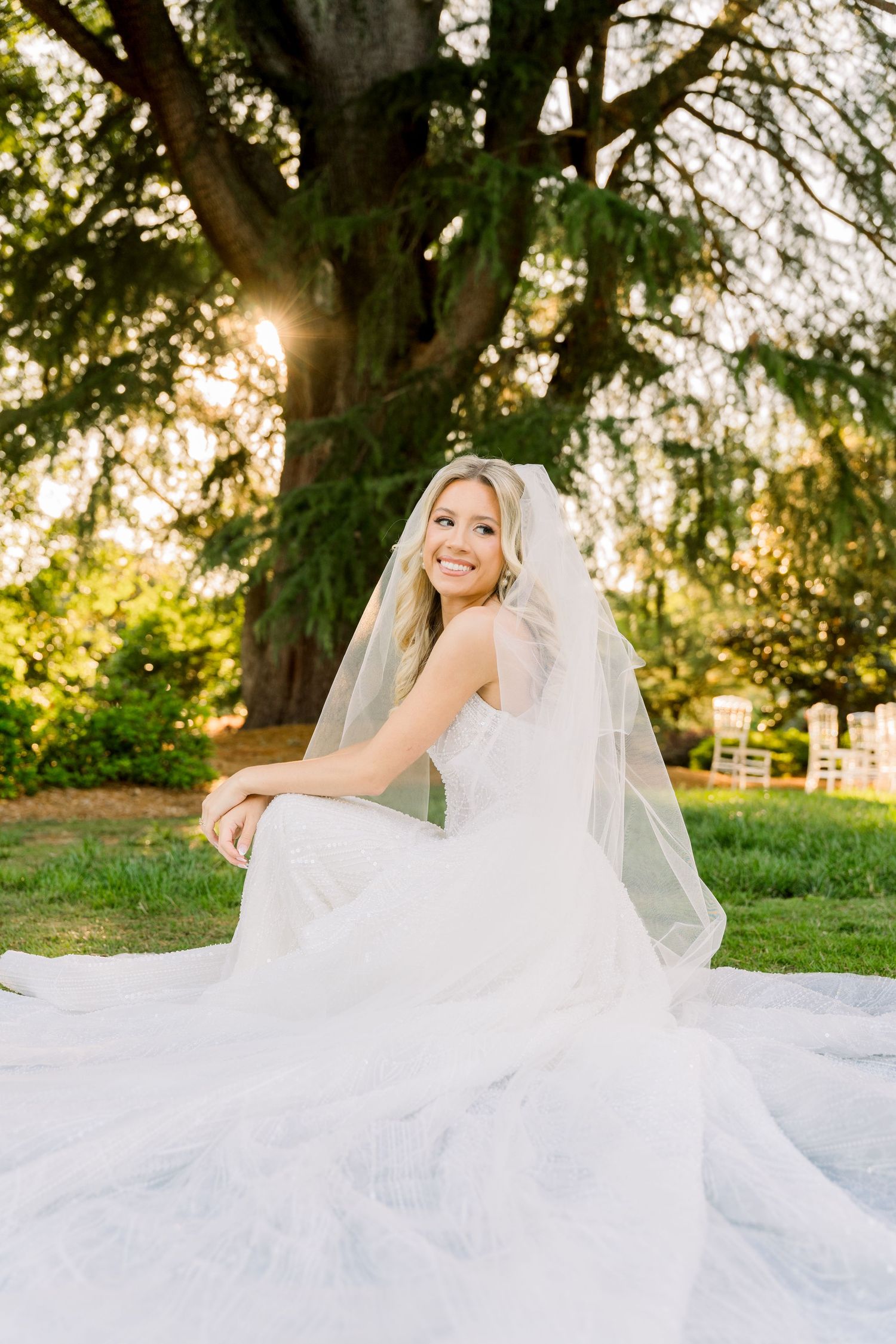 Smiling bride in white gown and veil sits on grass beneath a large tree with golden sunset light.