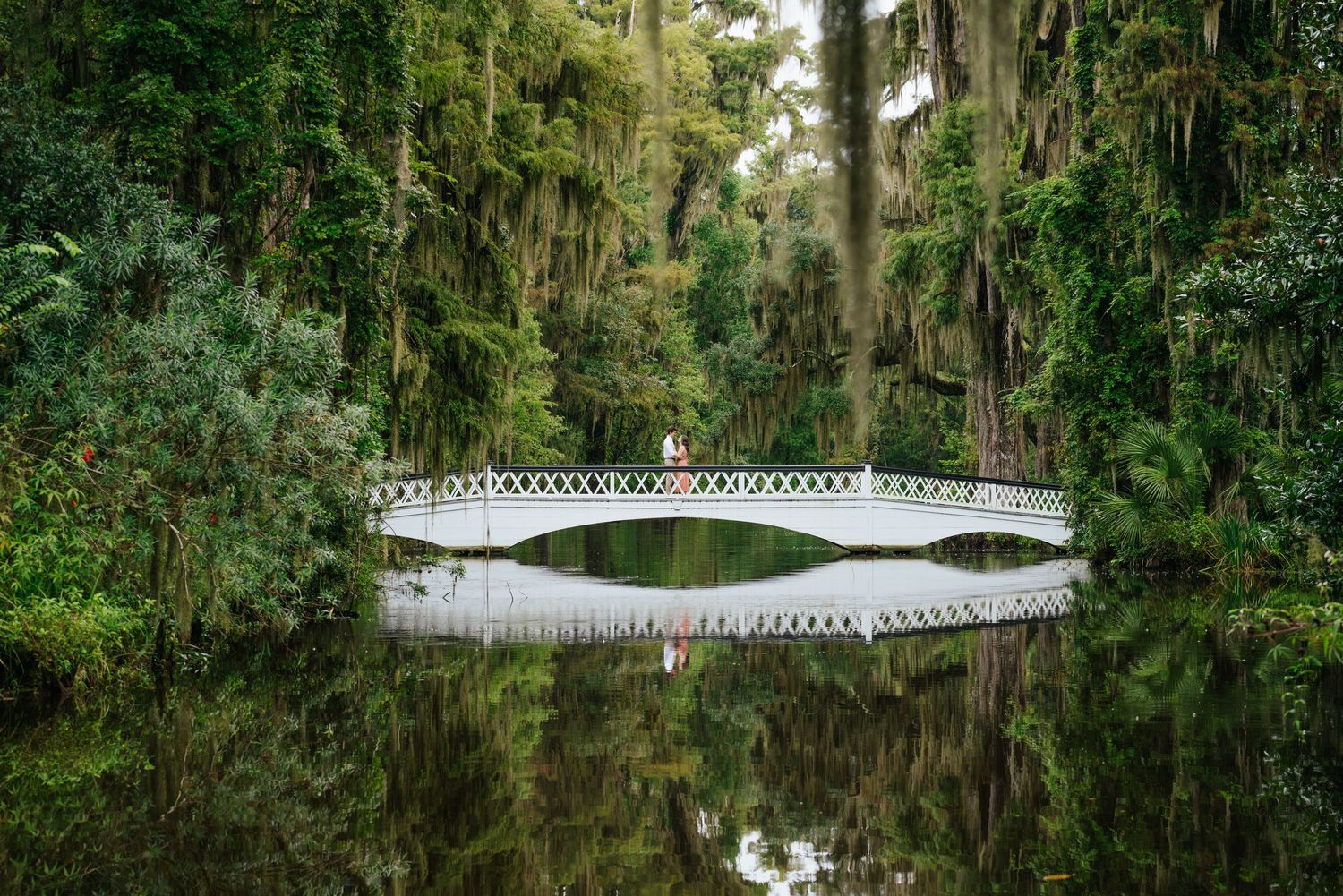 Scenic white footbridge with lattice railings mirrored in calm water among moss-covered trees.