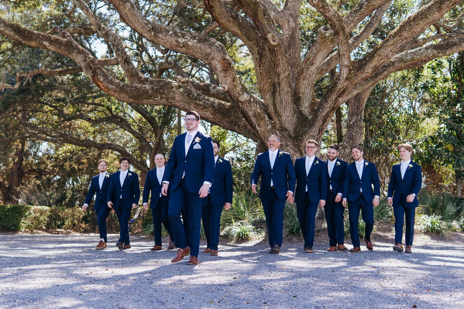 Large wedding party poses beneath sprawling oak trees for formal outdoor photos.