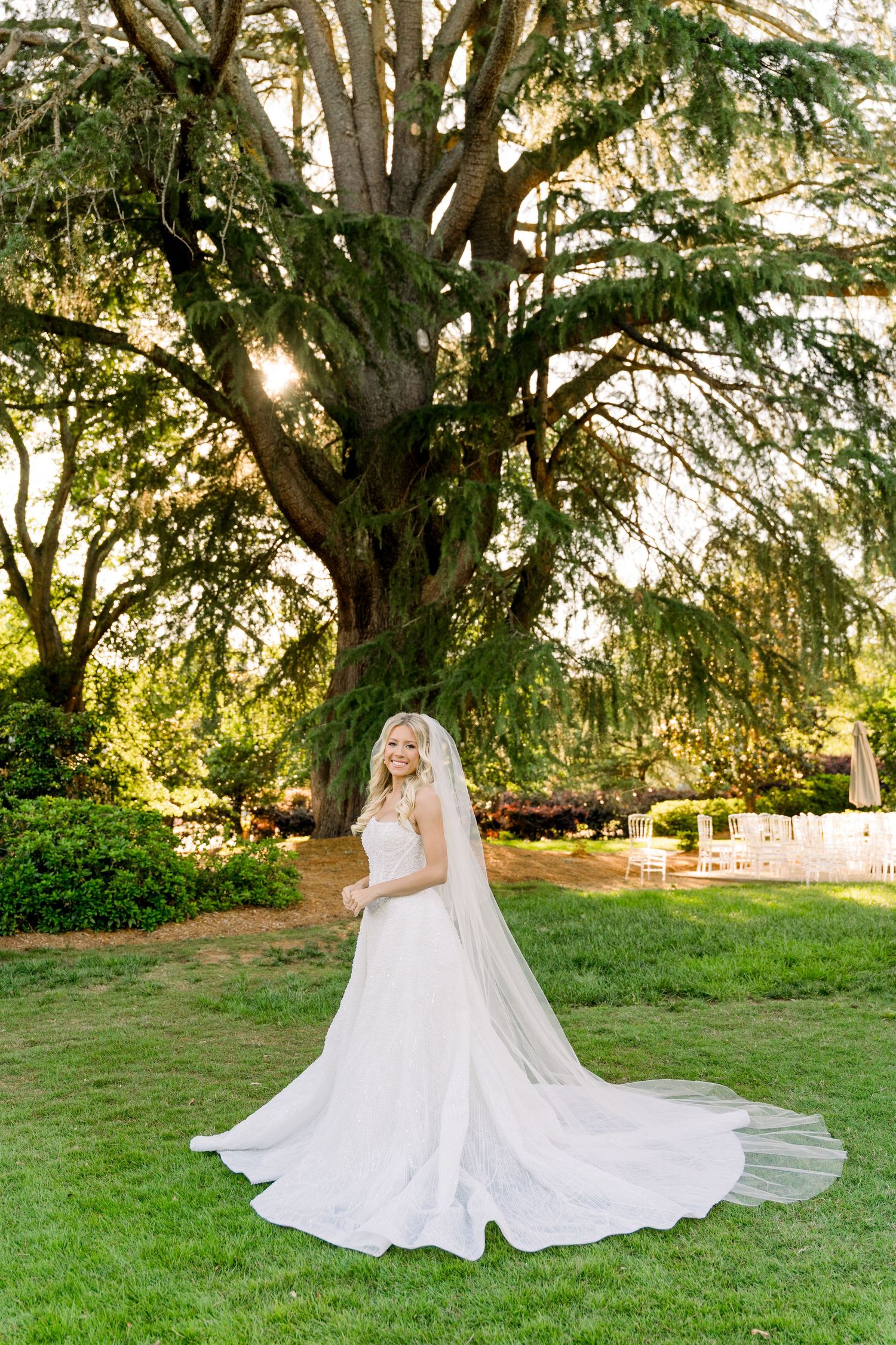 Bride in a white gown and veil poses on green lawn beneath a large sprawling tree at an outdoor wedding venue.